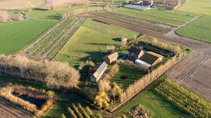 Kortemark: Een exclusief gelegen landgoed te midden van uitgestrekte landerijen op 4 hectare, met bijgebouwen en weideland. Een potentieel paradijs voor paardenliefhebbers of een toeristische onderneming. Een unieke kans! foto 8