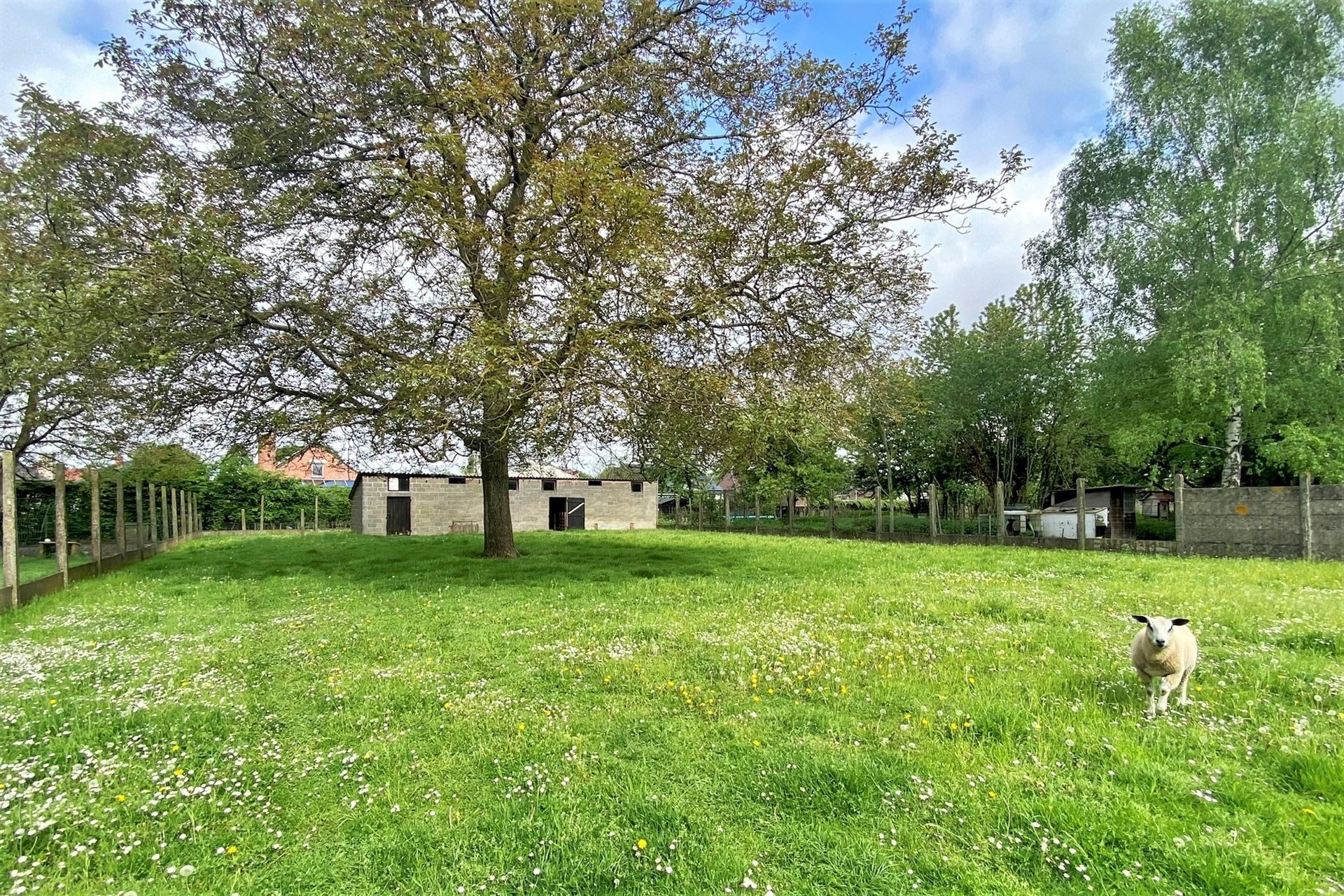 Woning met bijgebouwen op 21a5ca foto 7