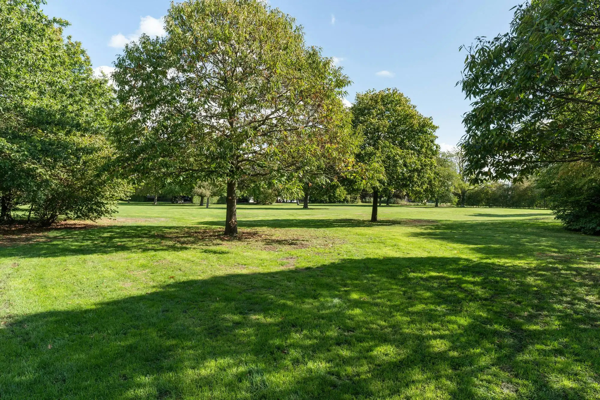Exclusief landhuis met parkdomein in Aldeneik foto 3