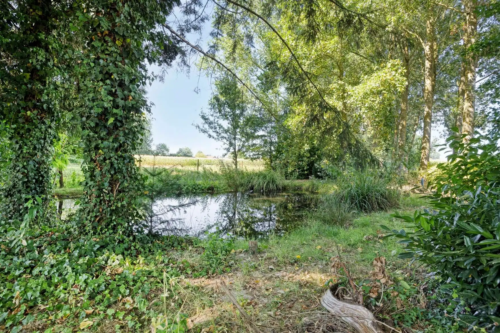 Uitzonderlijke woning op een unieke historische locatie foto 37