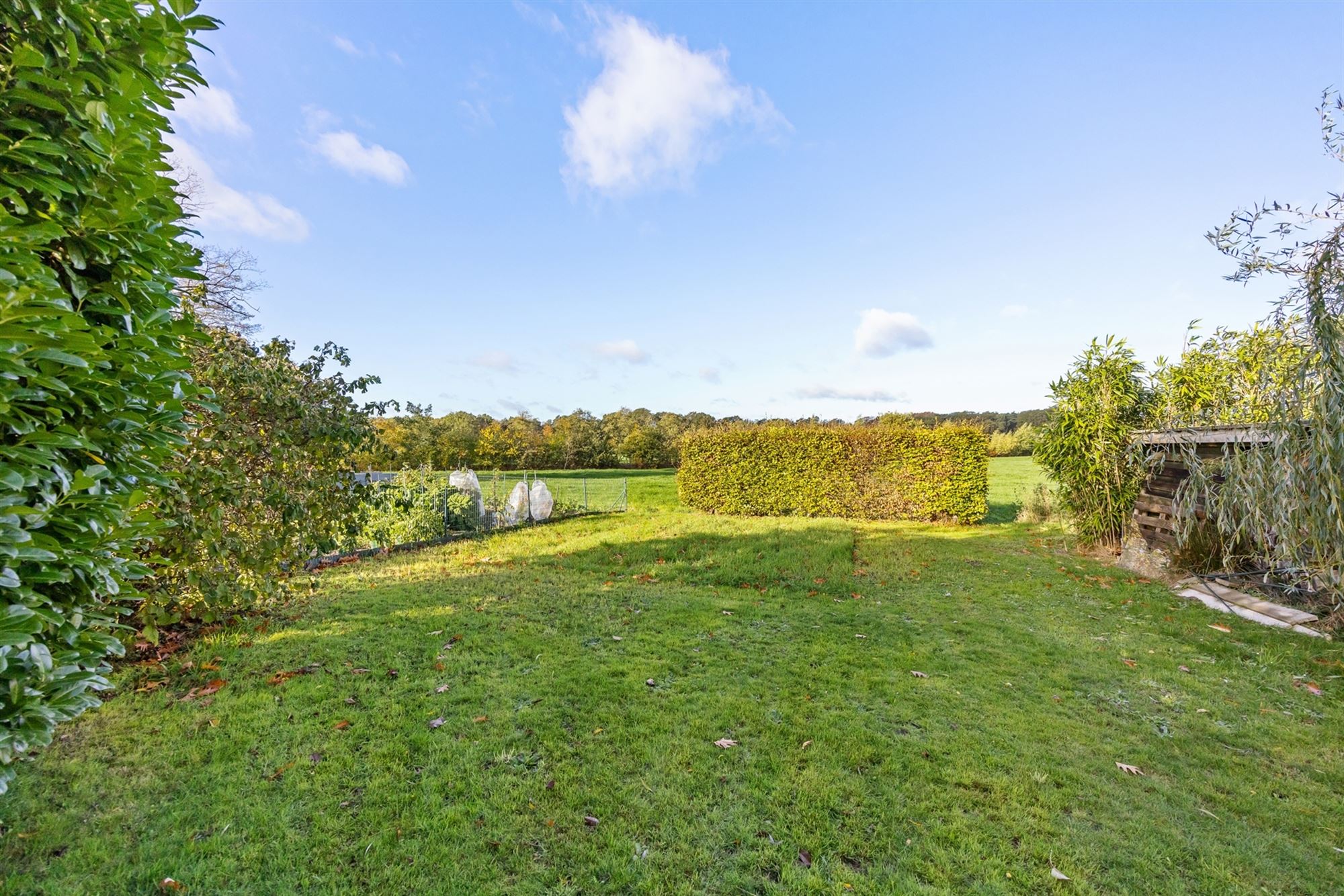 HEEL GOED ONDERHOUDEN WONING MET 3 SLAAPKAMERS UITERST RUSTIG GELEGEN OP EEN PERCEEL VAN 14A TE HEPPEN foto 31