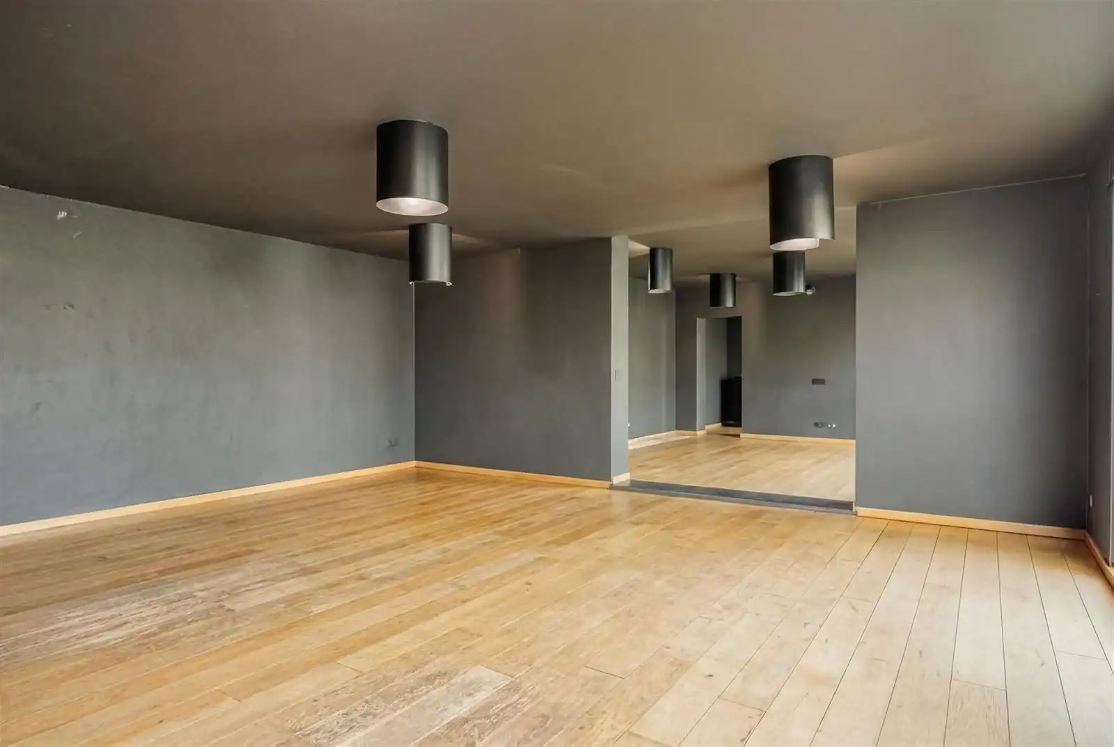 Loods met woning en loft te koop foto 8
