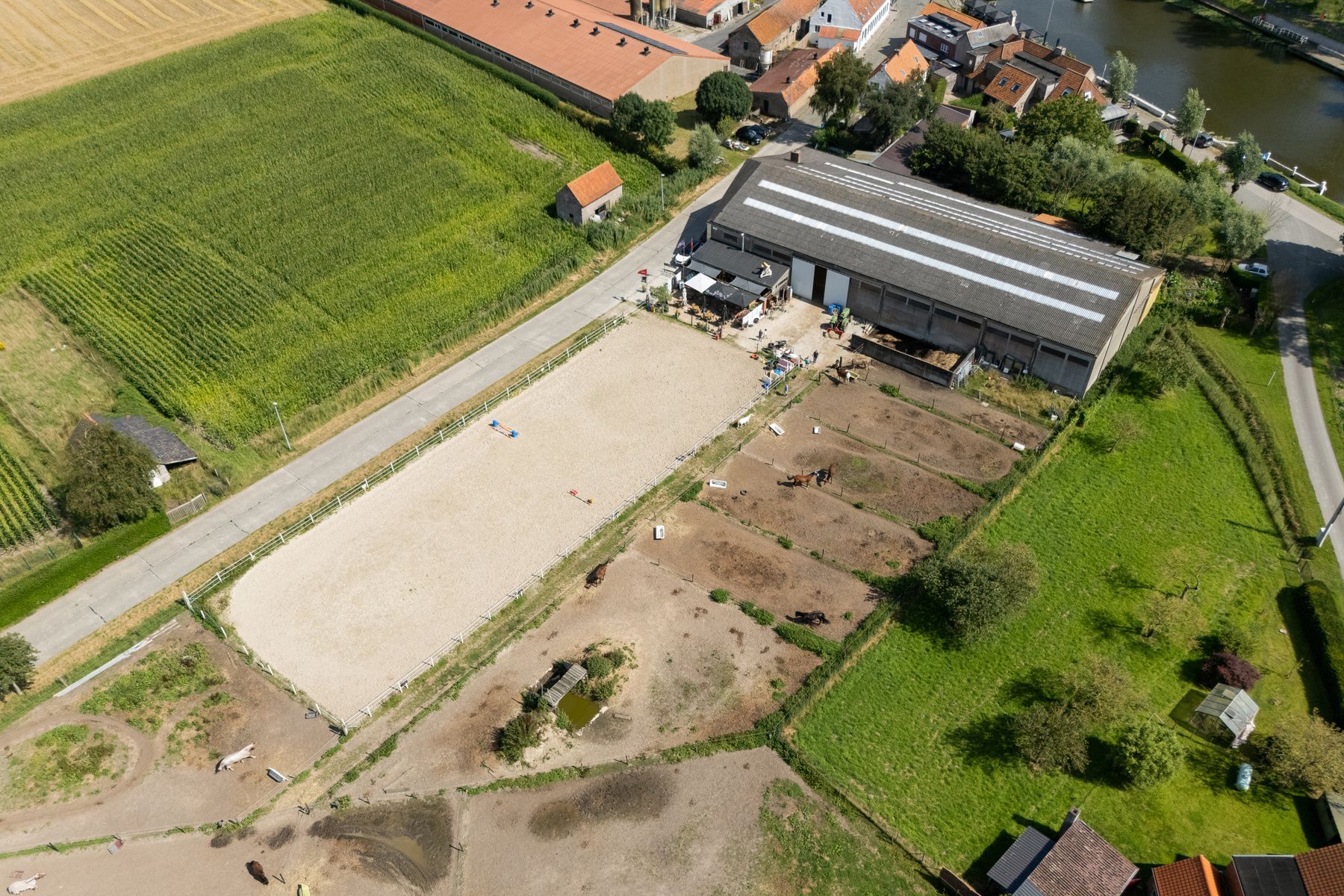 Charmante paardenmanège met woonruimte en gezellig café in Varsenare foto 5