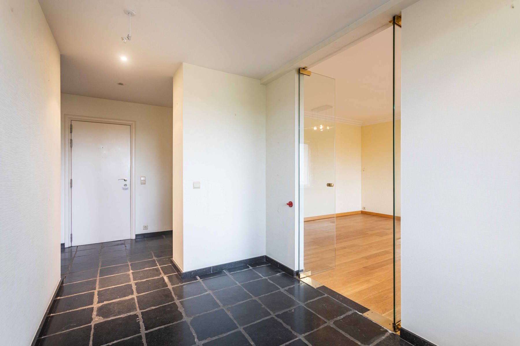 Exclusief ruim app. met mooi parkzicht, terrassen en garage foto 3