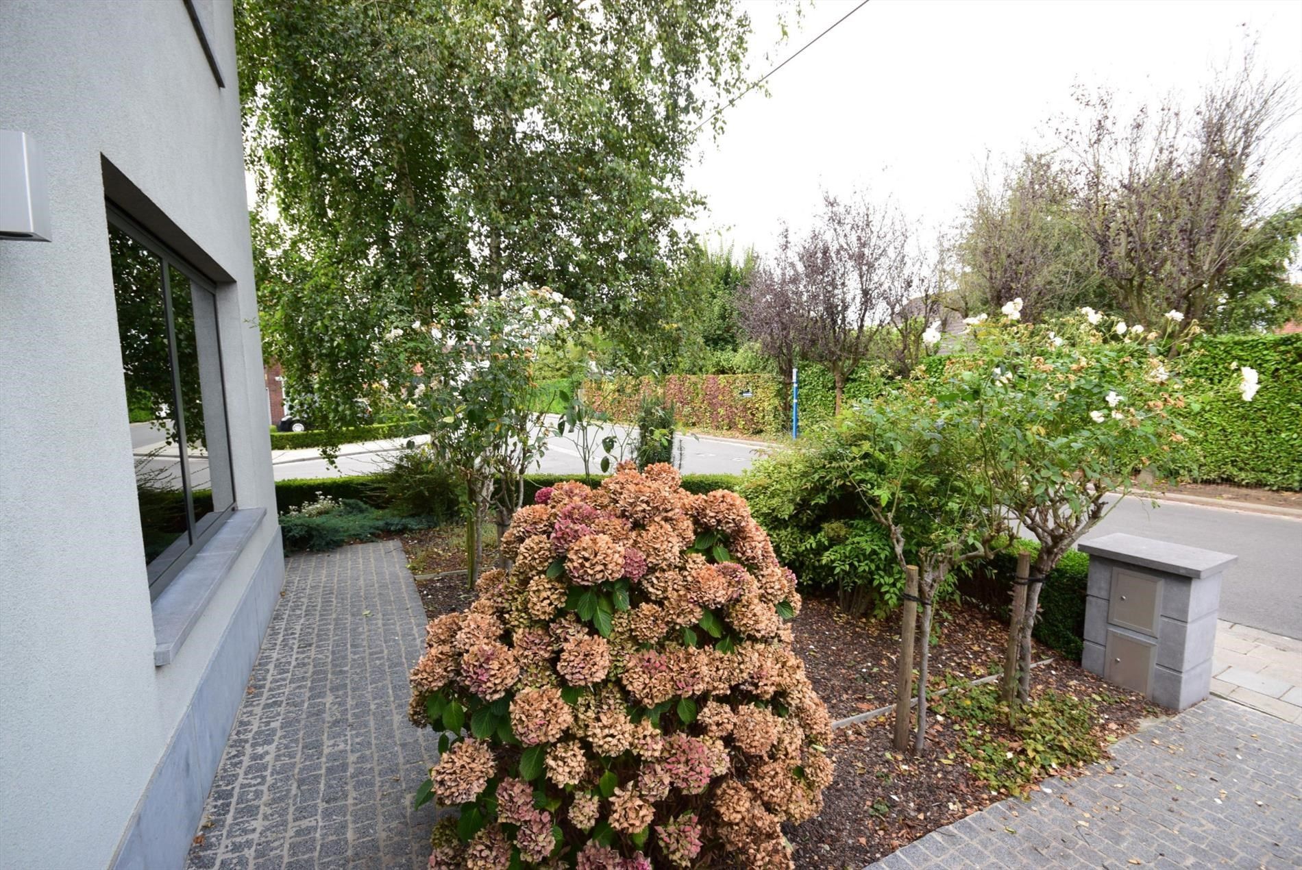 WONING MET ZONNIGE STADSTUIN foto 18