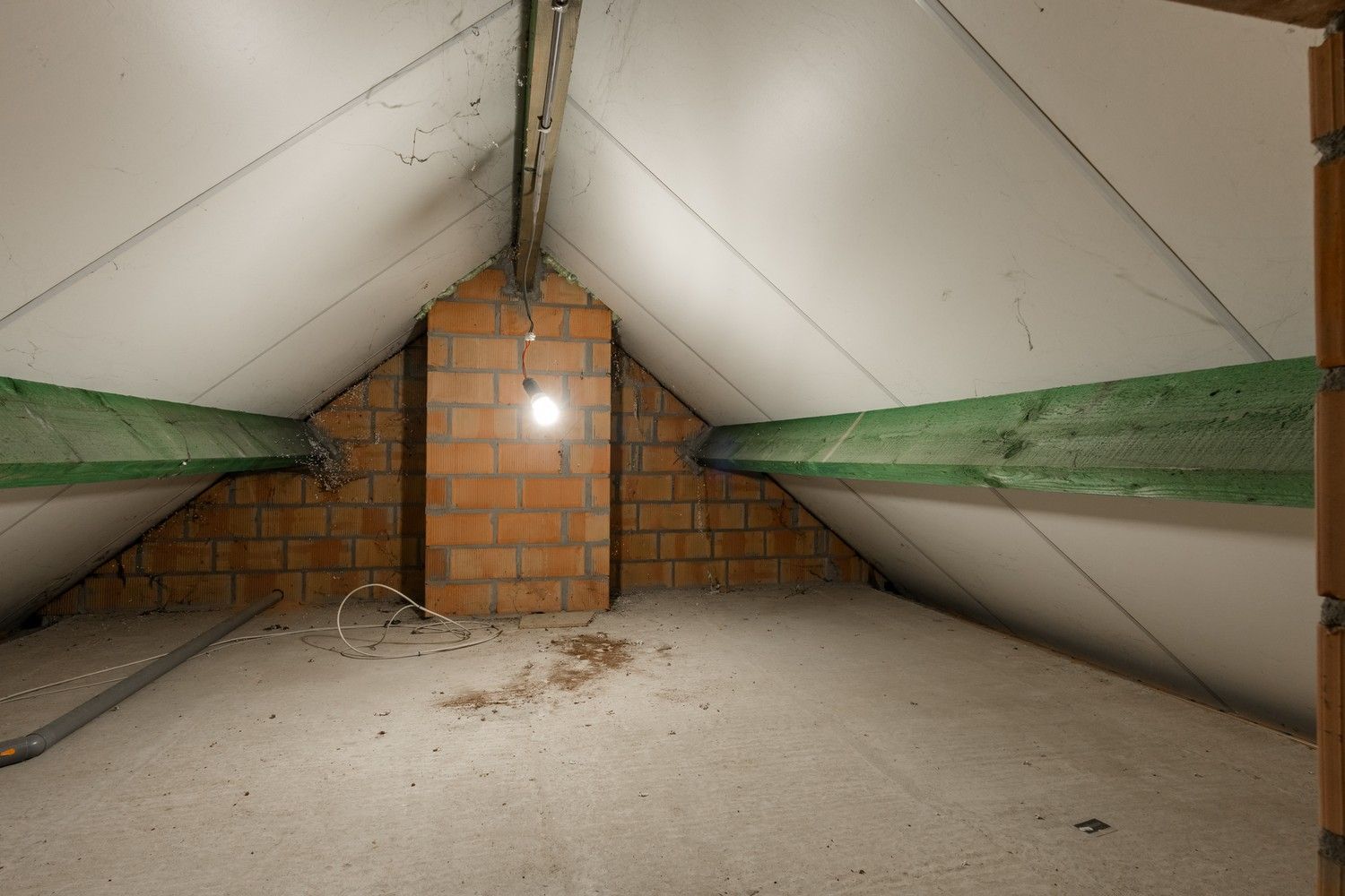 Vrijstaande woning met 5 slk op ruim perceel van 30 are in Pelt foto 33