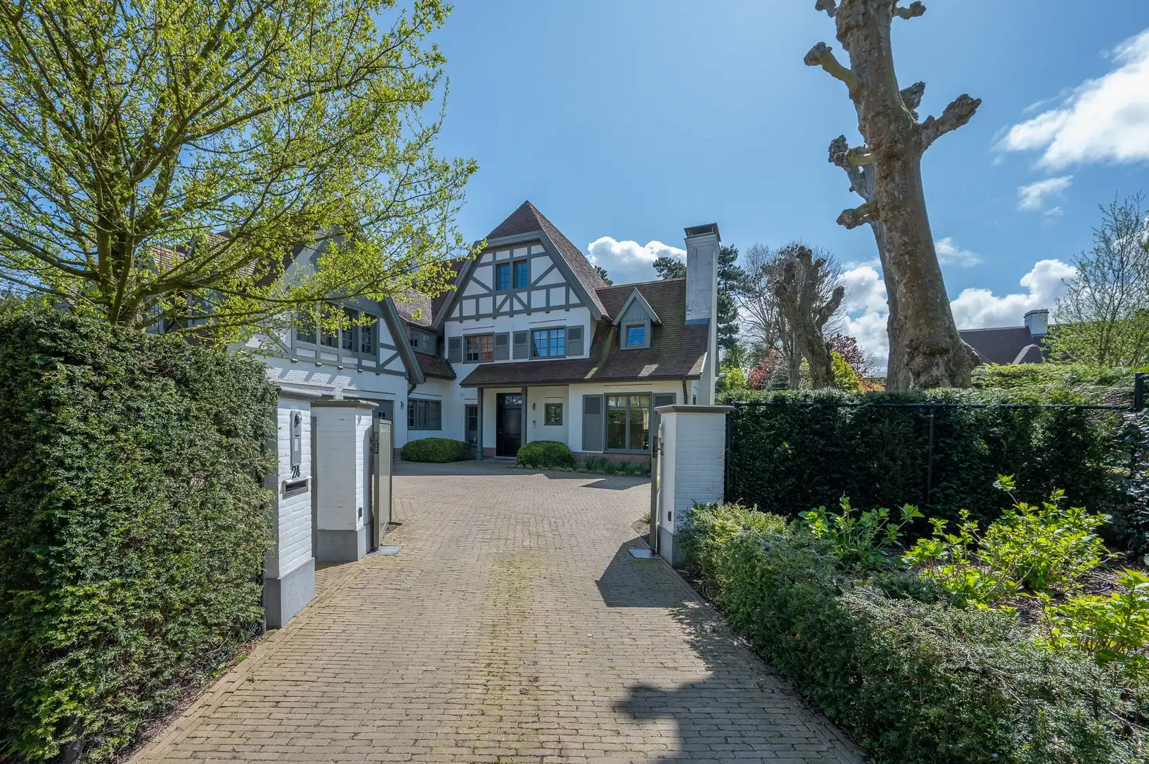 Prachtige villa met zwembad rustig gelegen in een paadje in hartje Zoute. foto 8