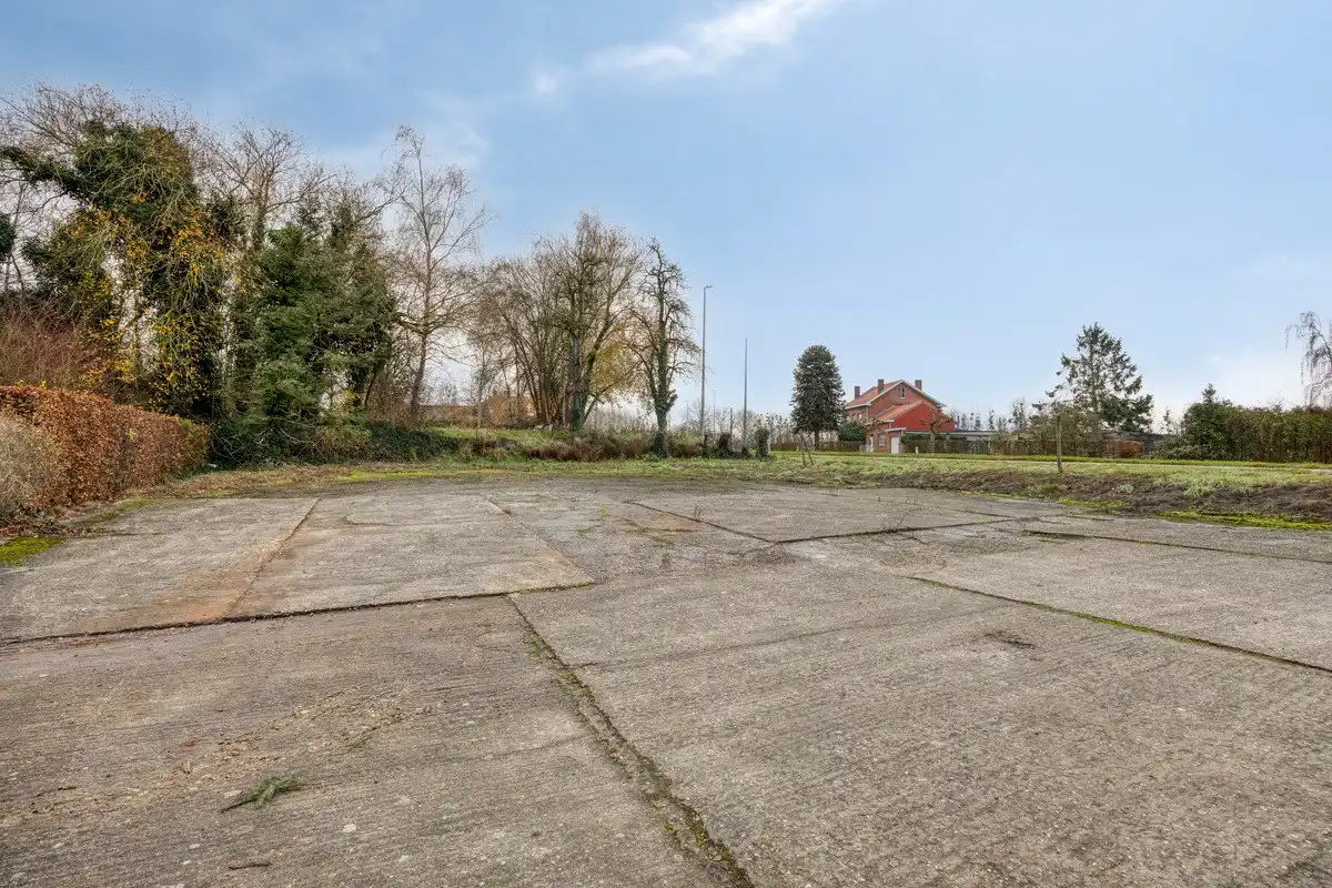 Tuinbouwcentrum met ruime woning op een perceel van 4,26 hectare foto 9