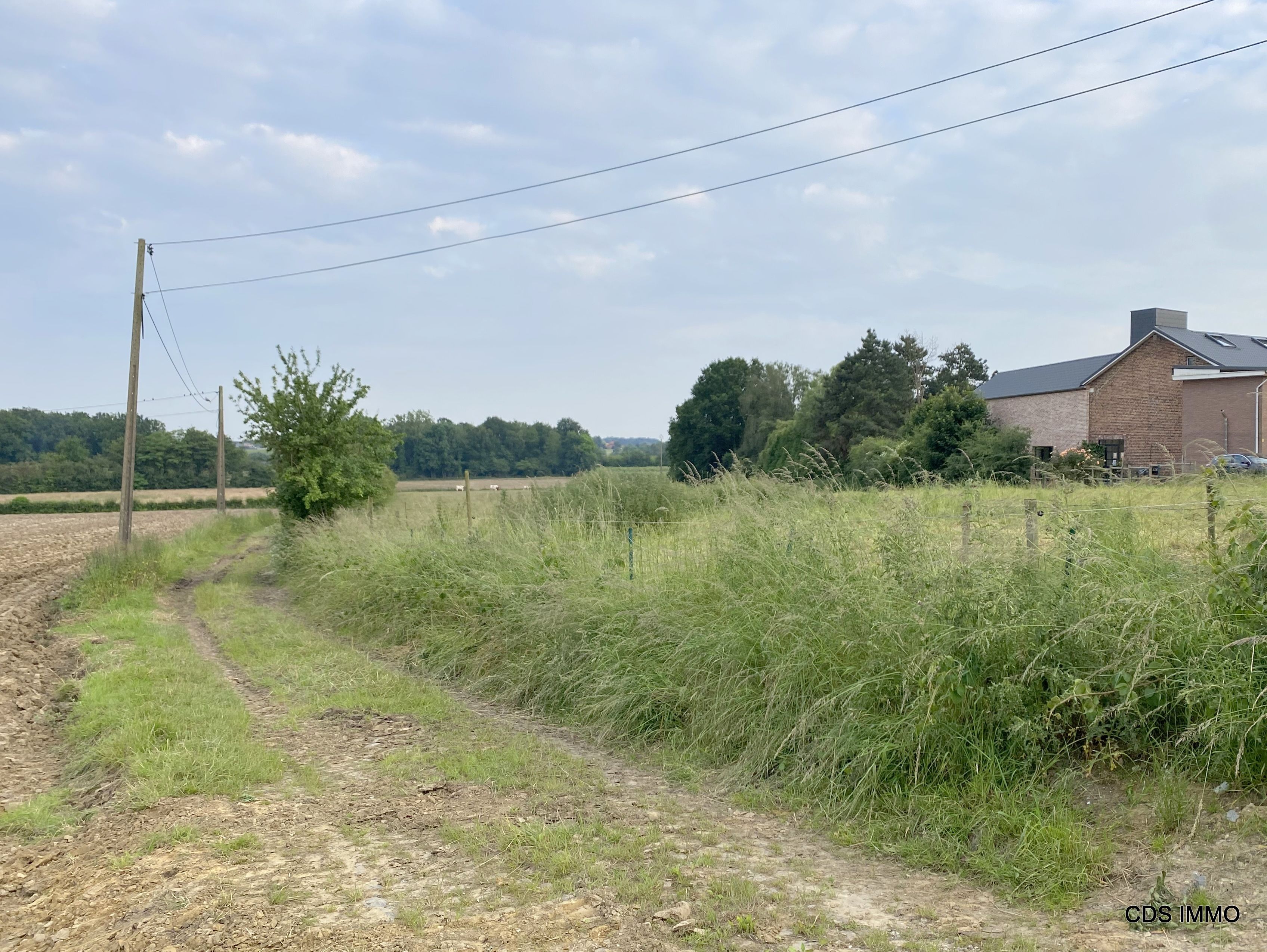 Zeer landelijk gelegen VILLABOUWGROND met een opp. van 11,49 are foto 5