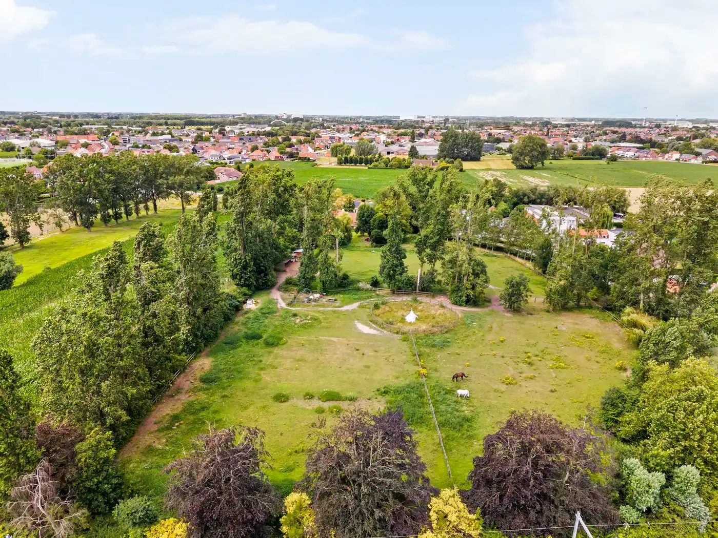 Exclusieve landelijke villa met paardenaccommodatie op ca 1,6ha foto 32