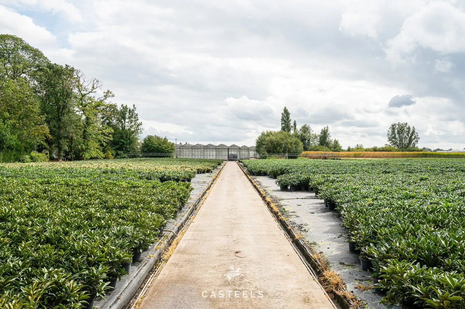 Uitzonderlijke tuinbouwsite in hartje Lochristi foto 3