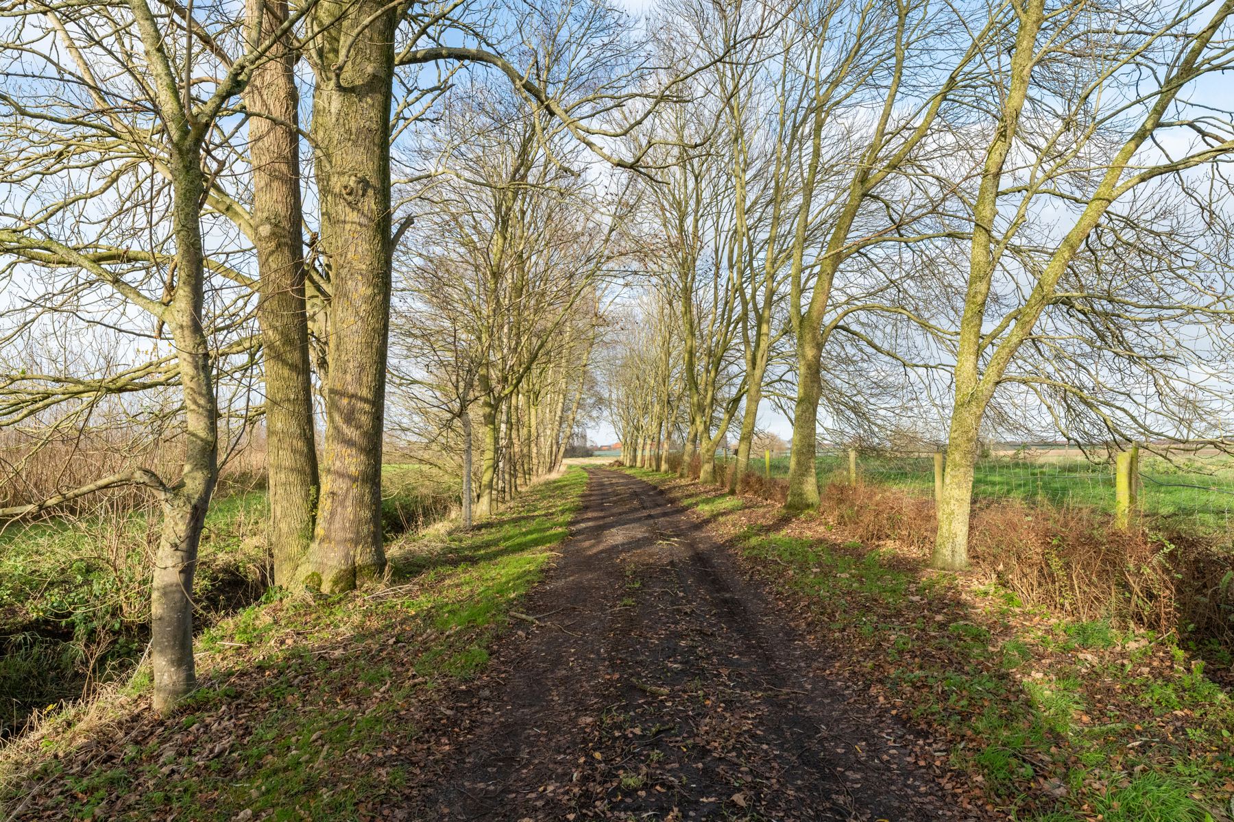 Prachtig gelegen landhuis op 4ha foto 3