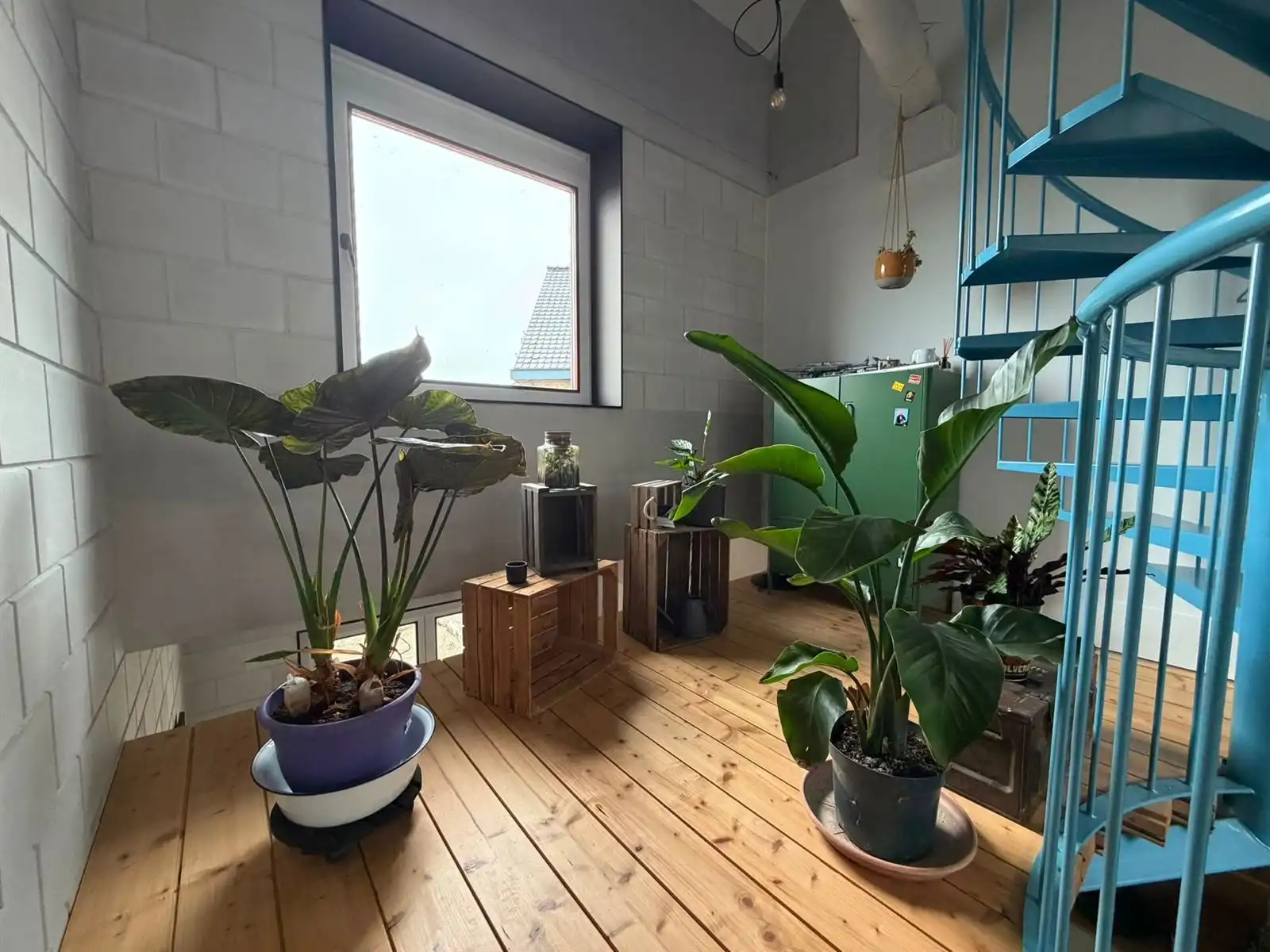 Quadruplex TE HUUR in centrum Gooik  foto 5