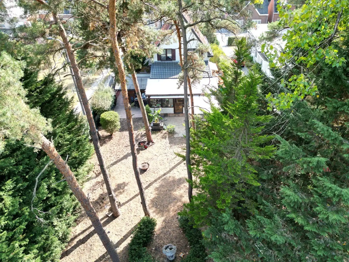 Ruime open bebouwing op 10a 51ca met potentieel. foto 25