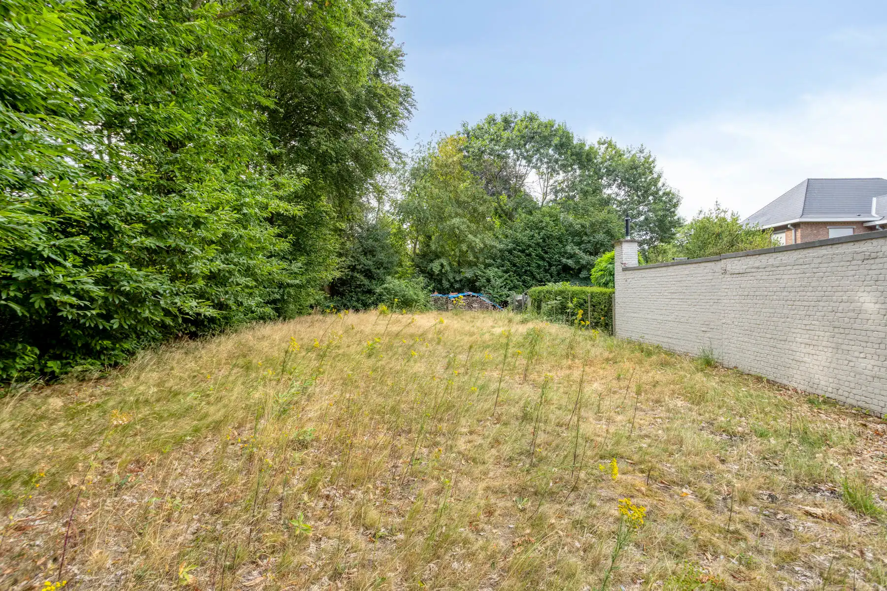 Bouwgrond van bijna 6 are op centrale ligging in Buggenhout foto 3