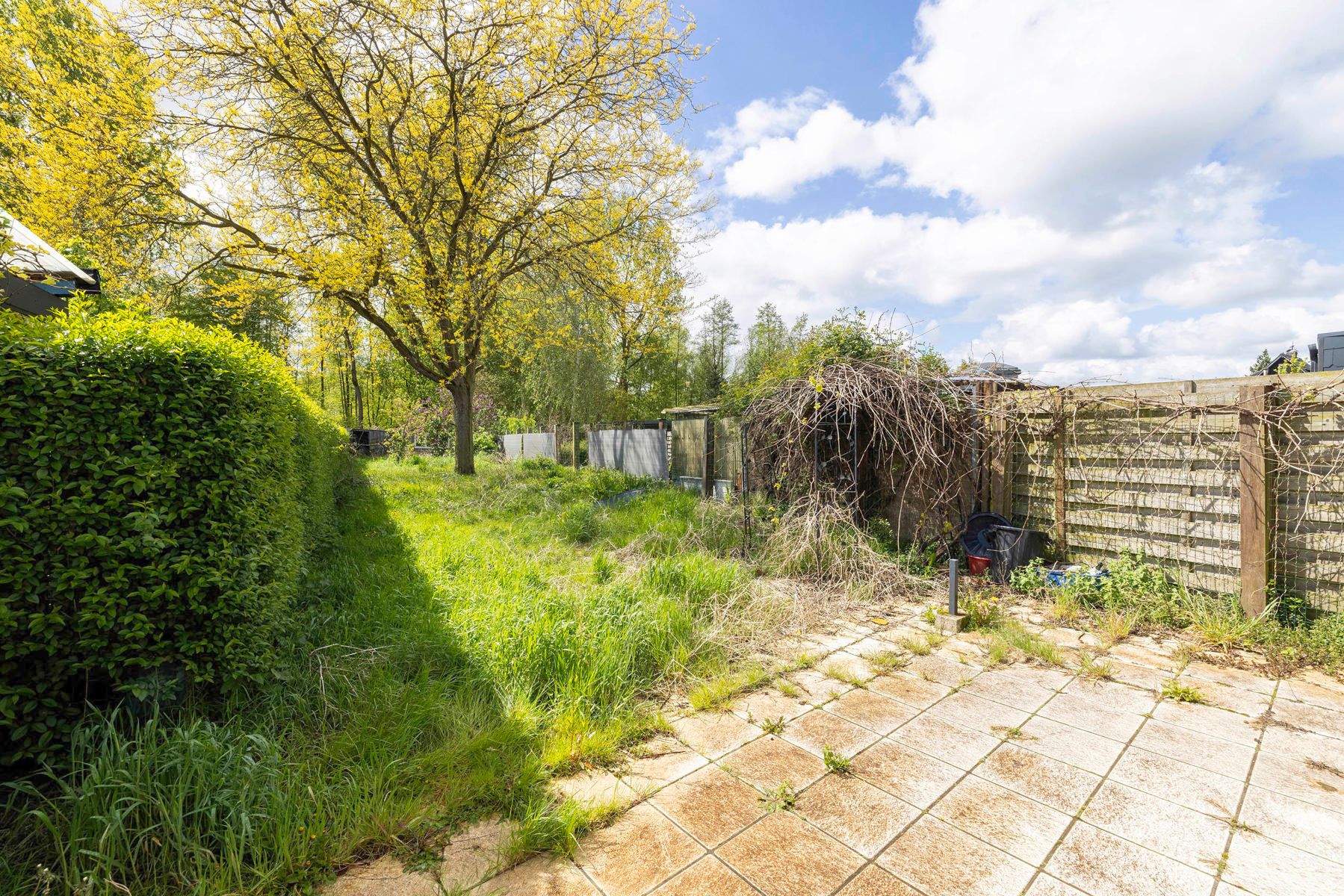Te renoveren woning op een perceel van 509m² foto 4