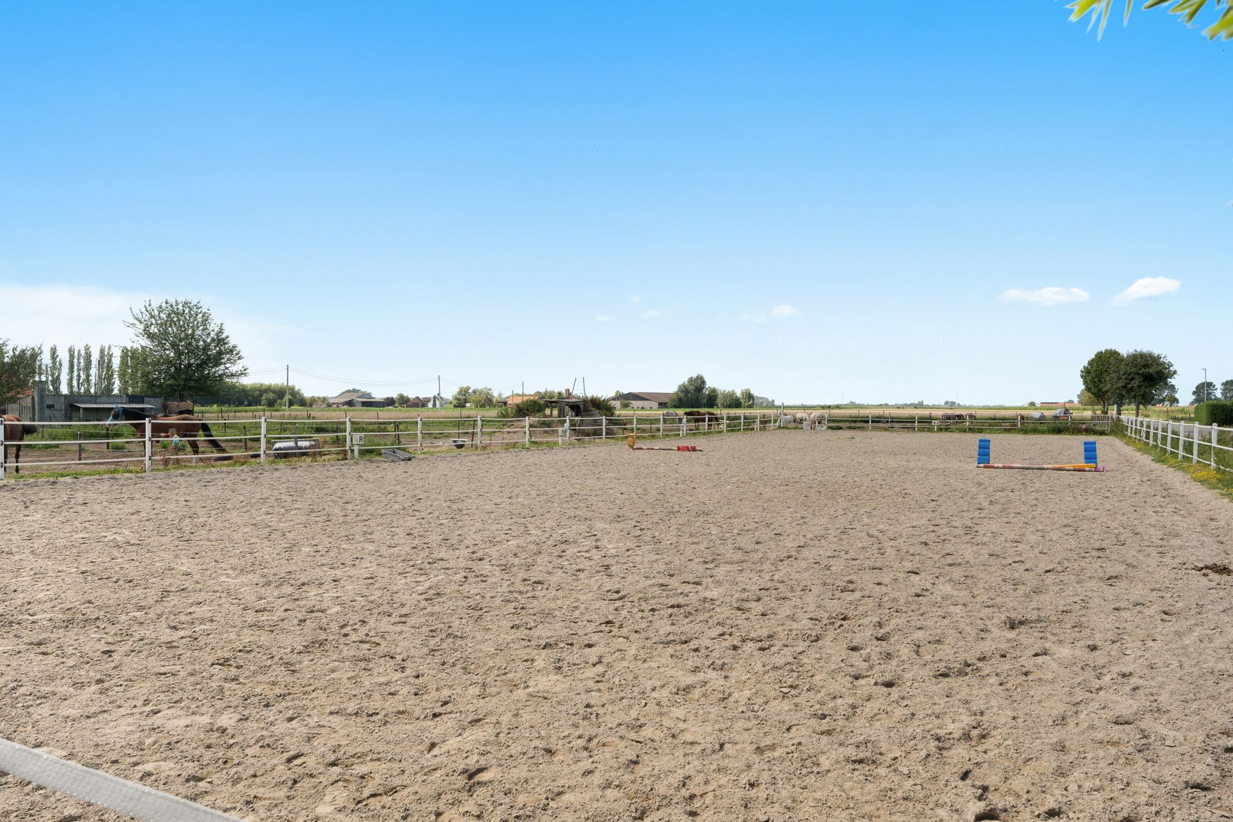 Charmante paardenmanège met woonruimte en gezellig café in Varsenare foto 8