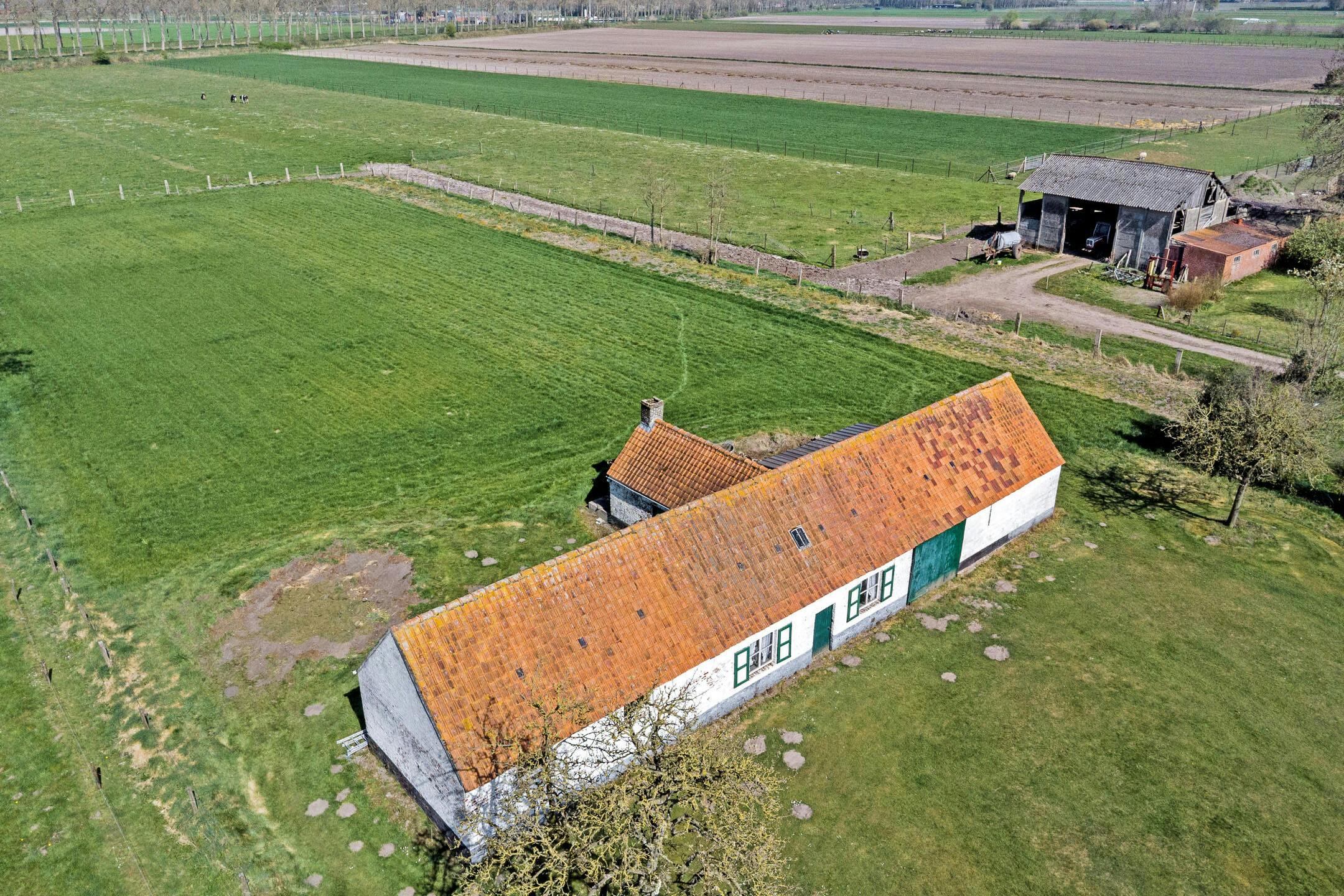 Idyllisch gelegen hoeve te Maldegem foto 3