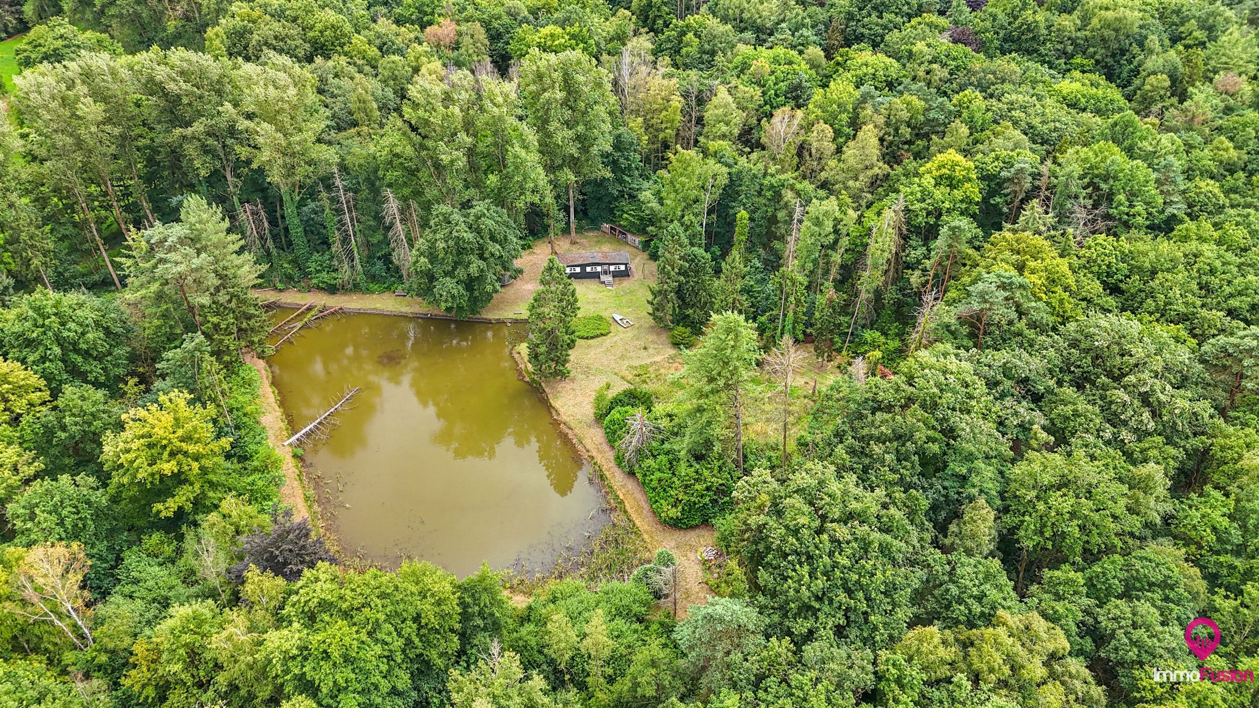 Droom buitenverblijf in Hasselt voor natuurliefhebbers!  foto 2