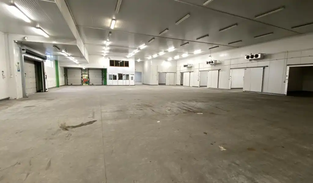 Bedrijfspand te huur aan Groothandelsmarkt Antwerpen foto 6