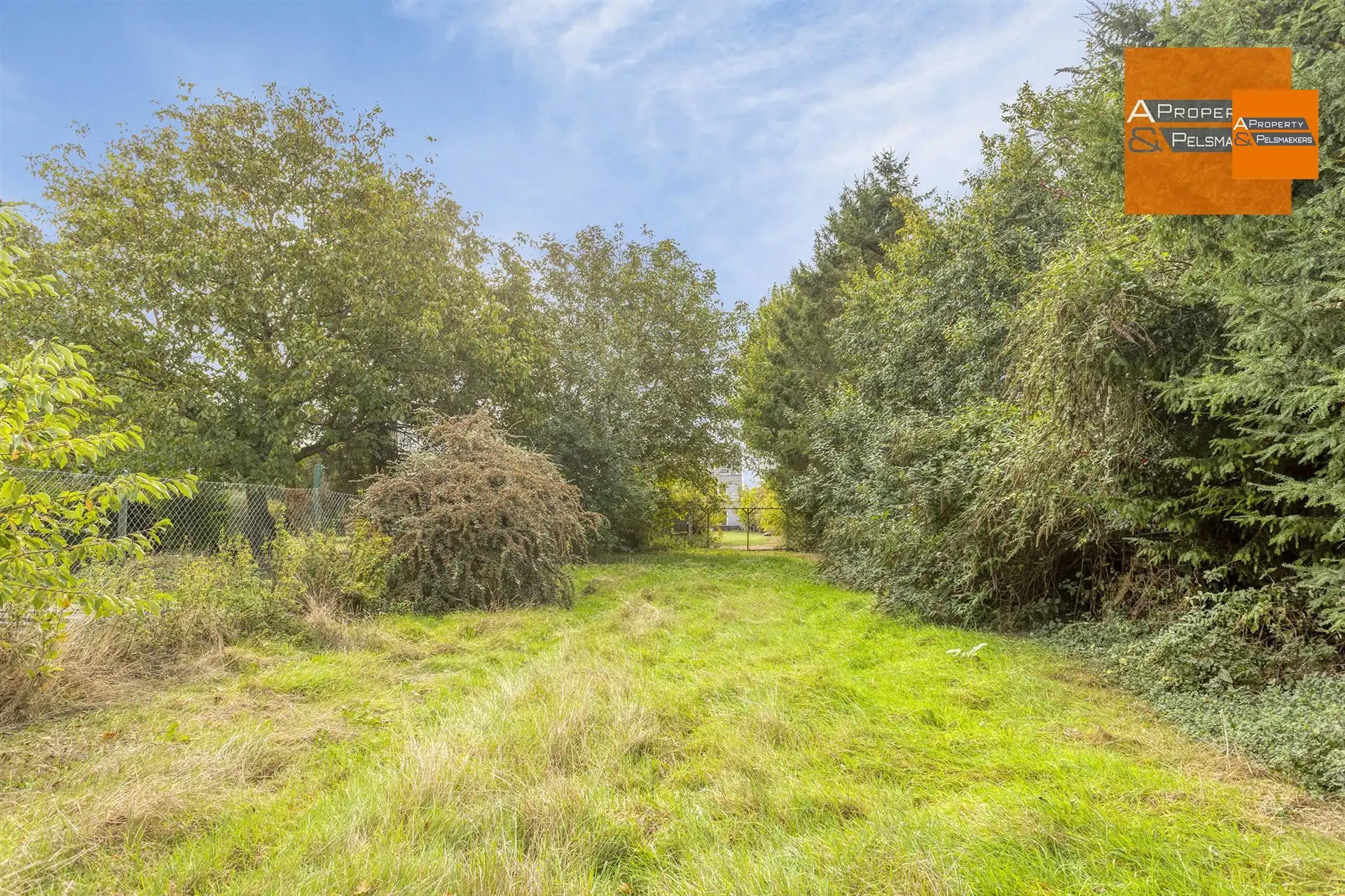 Ruime en instapklare woning met prachtige tuin in Duisburg foto 22