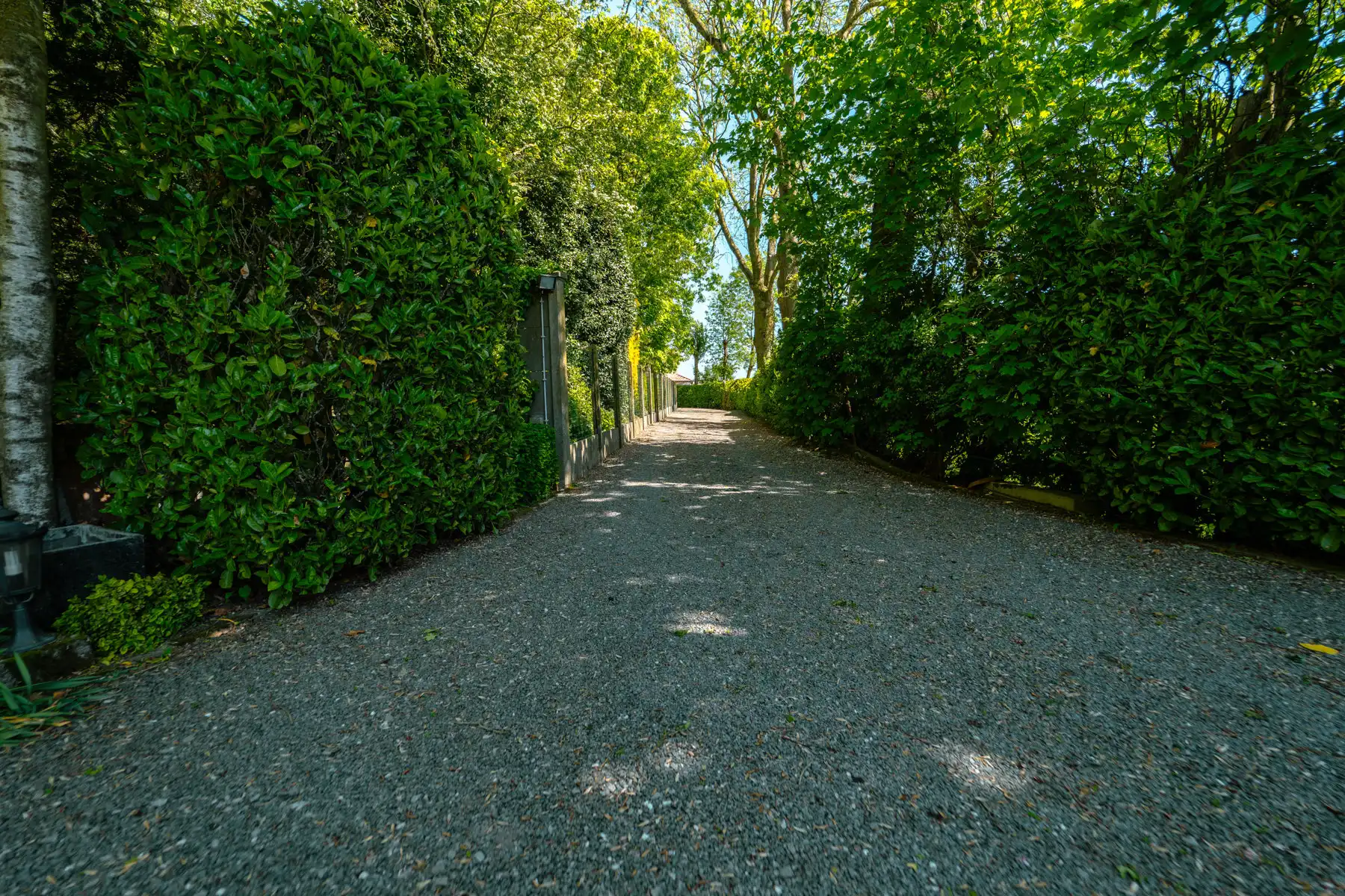 Exclusieve eigendom op ±3.300 m²: wonen op een privé-eiland foto 4