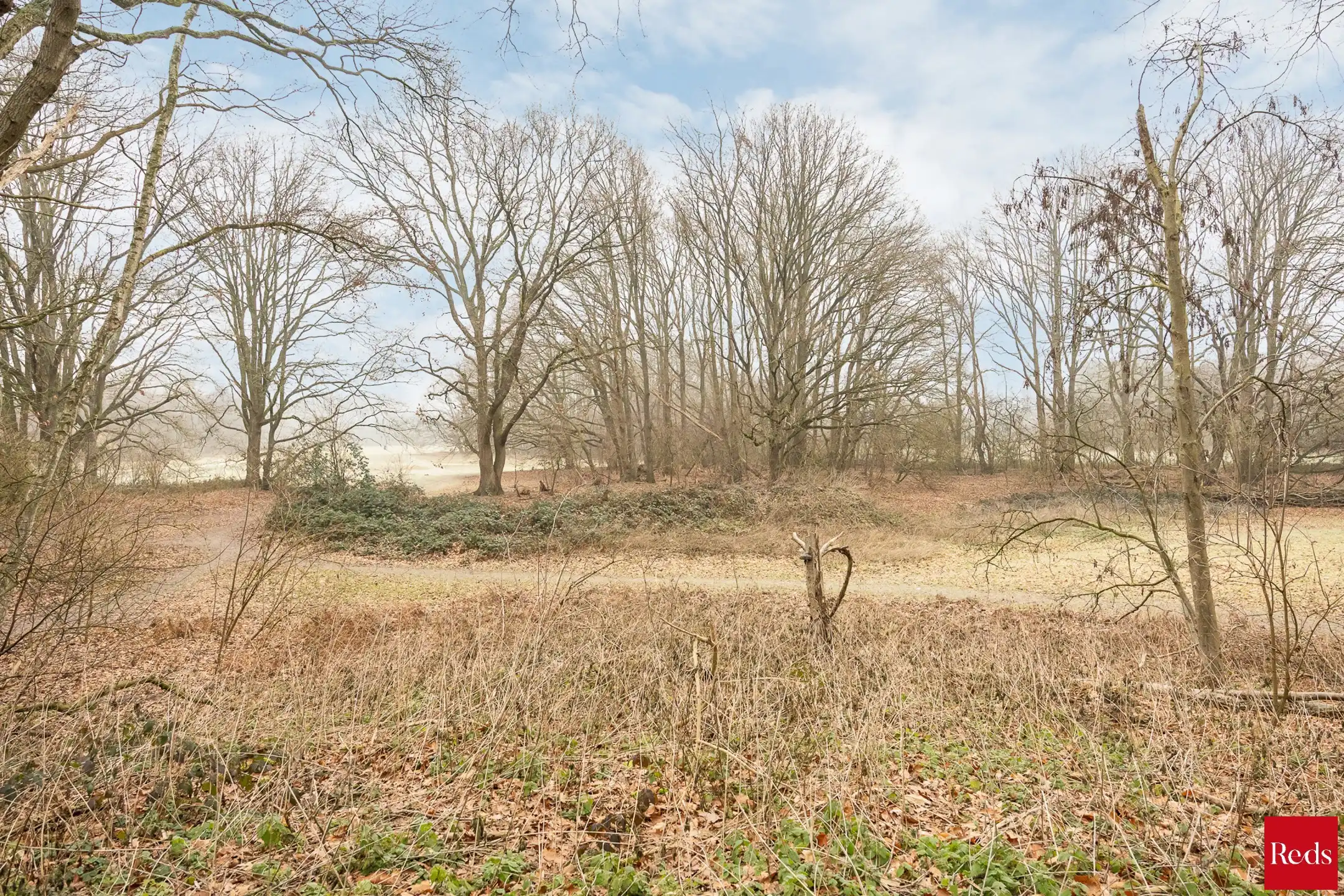 Gerenoveerd appartement nabij een groene omgeving foto 14