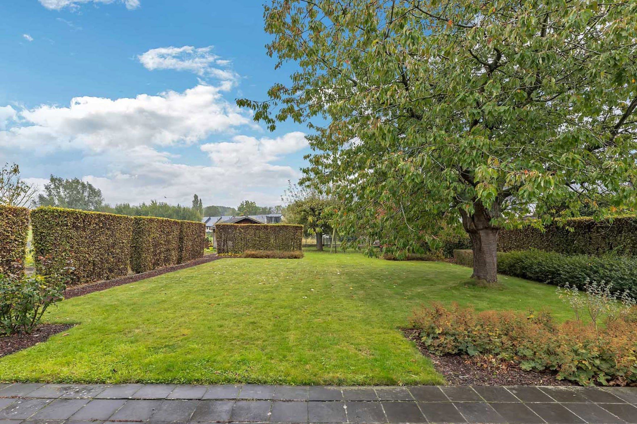 OB te Ternat met 4 slpk en praktijkruimte foto 8