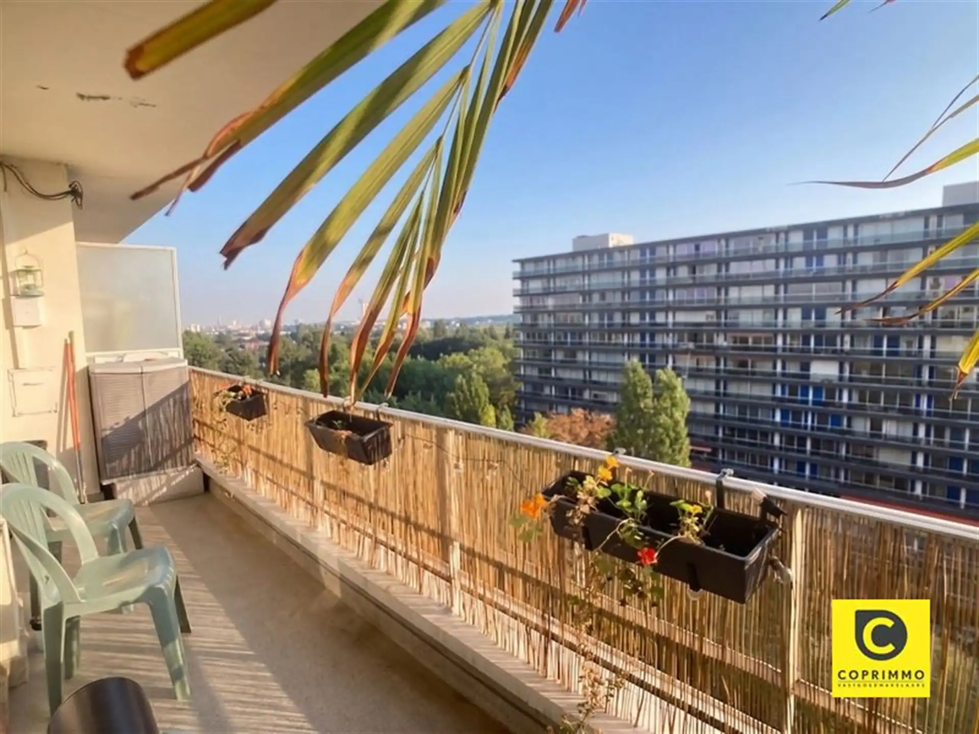 Gezellige studio met slaaphoek en terras te Fruithoflaan! foto 6