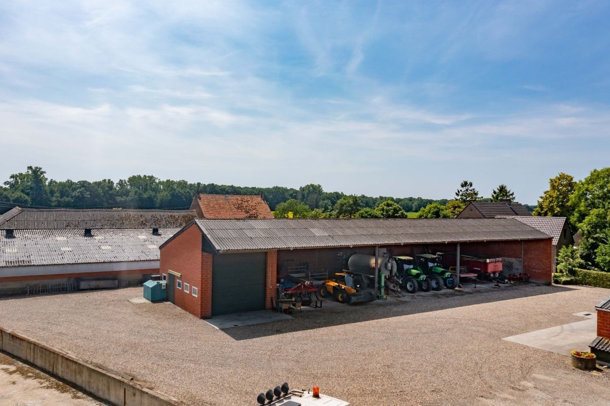 Hoeve met gronden te koop te Kinrooi foto 8