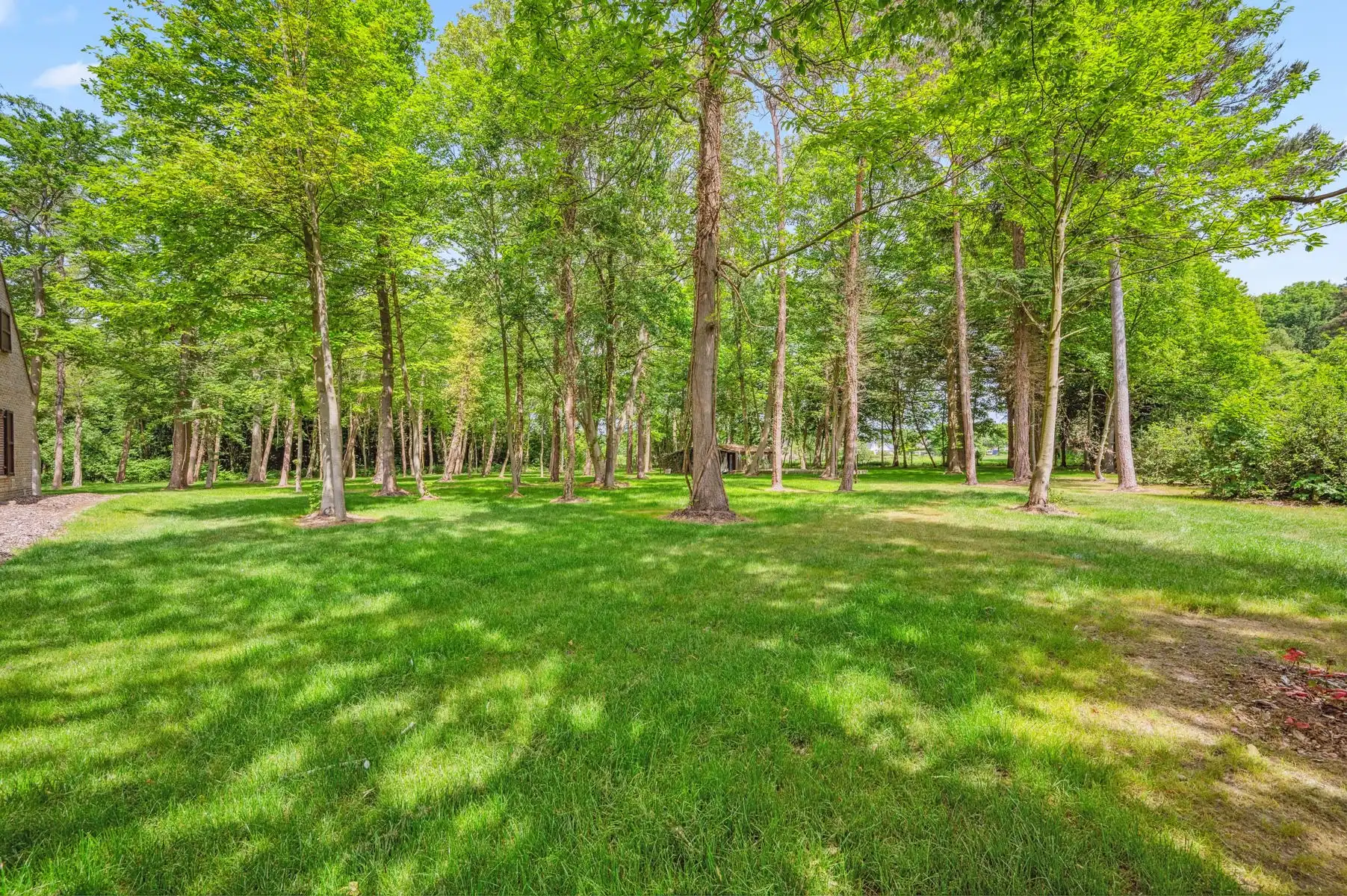 Landhuis in prachtige parktuin van 1ha te HALLAAR foto 16