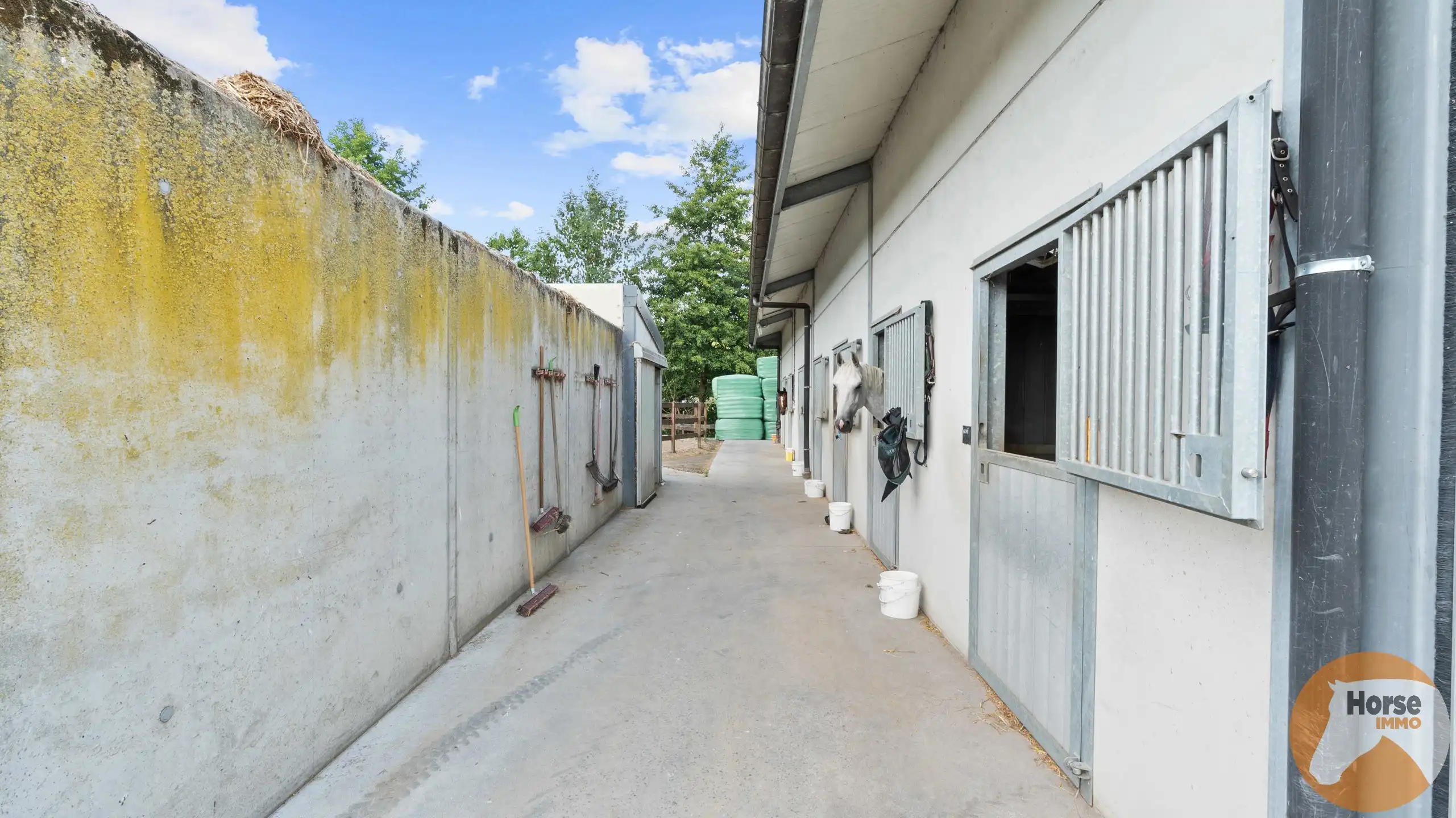 DILBEEK - Unieke paardeninfrastructuur op +-5,6ha foto 14