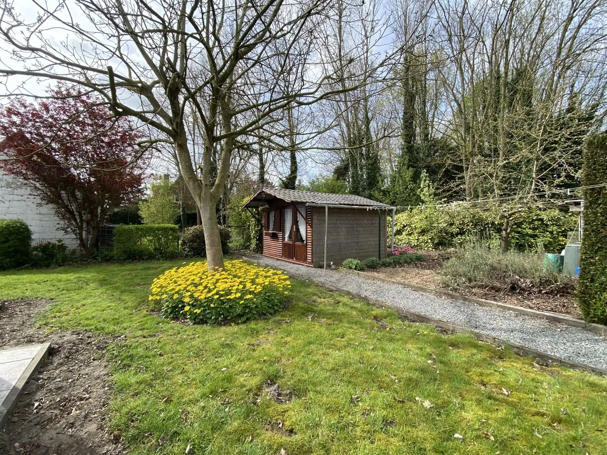 Charmante open bebouwing met 3 slaapkamers, grote garage en zonnepanelen foto 24