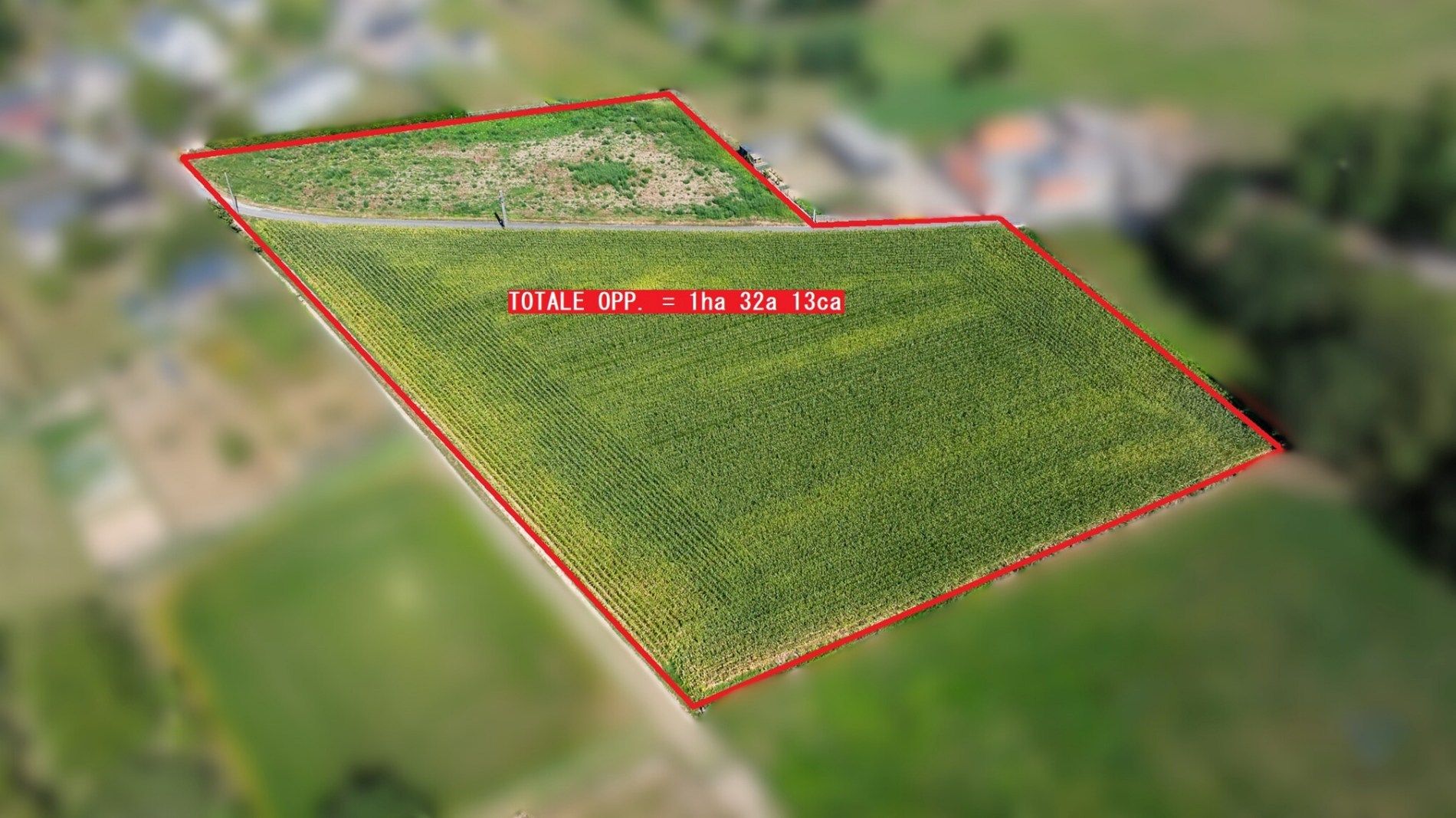 Exceptioneel gelegen bouw- en landbouwgrond te Michelbeke. foto 2