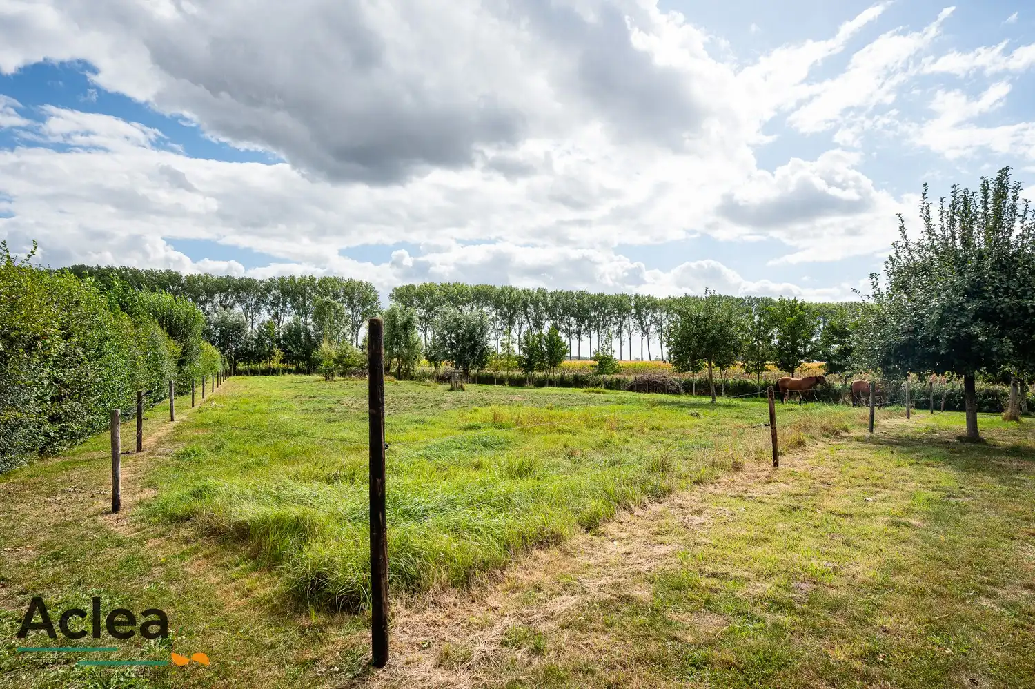 Karaktervol landhuis met paardenstal op 5.943m² in een groene omgeving foto 33
