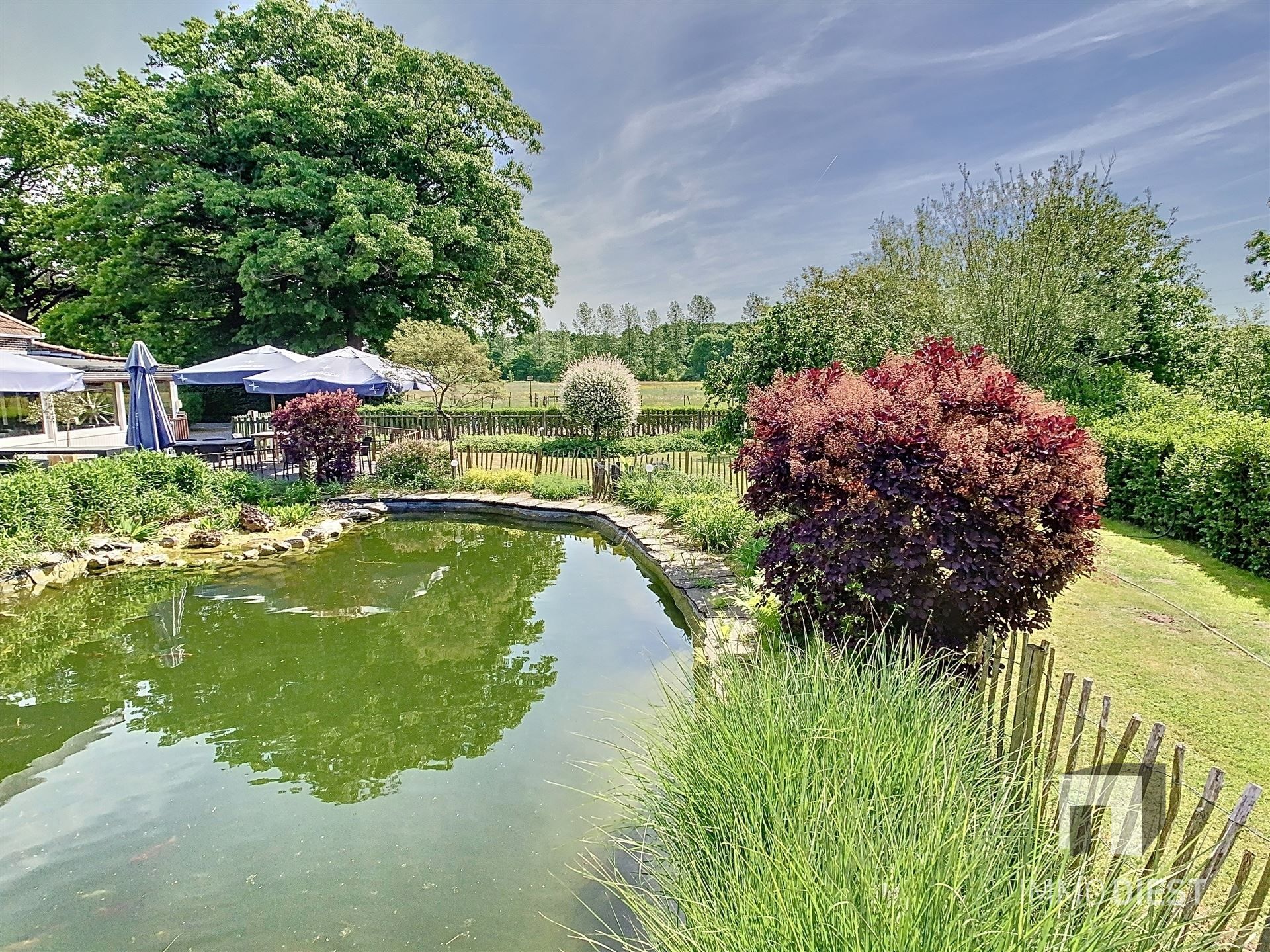 Brasserie - restaurant - feestzaal - privéwoonst foto 8