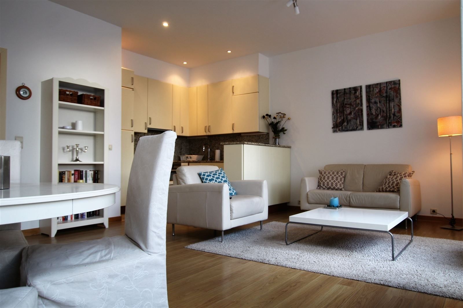 Antwerpen stadspark | volledig gemeubeld 1 slaapkamer appartement met terras. foto 6