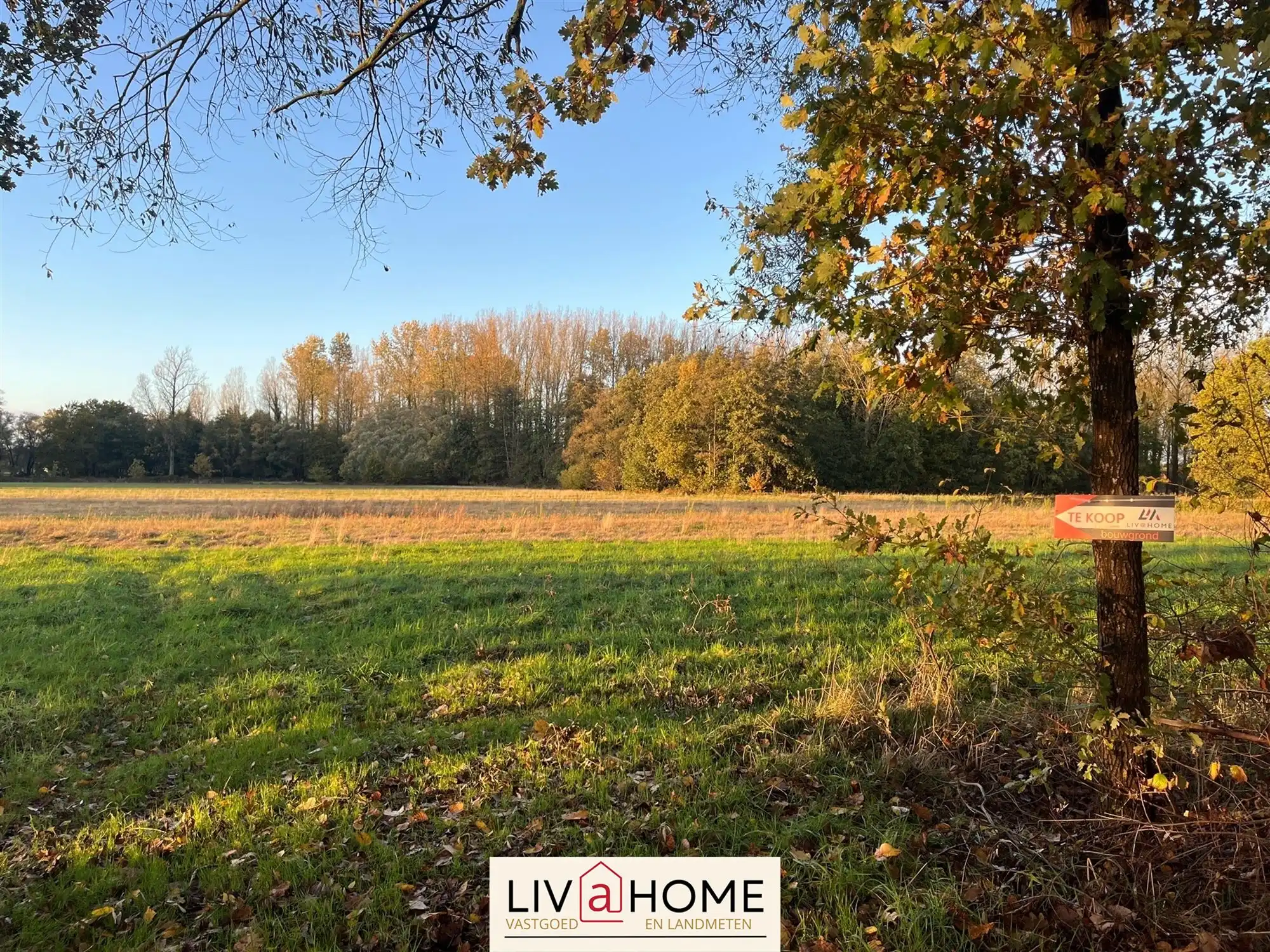 landbouwgrond - niet verpacht. foto {{pictureIndex}}