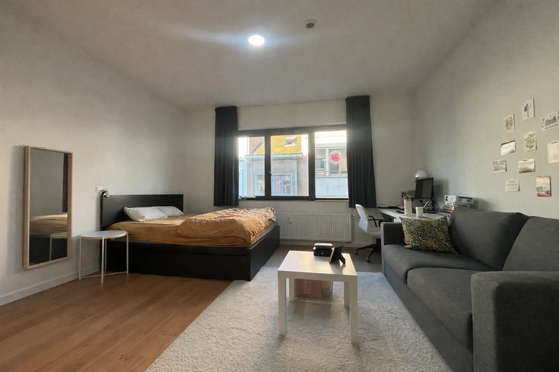 Studeren in Leuven!  foto 2