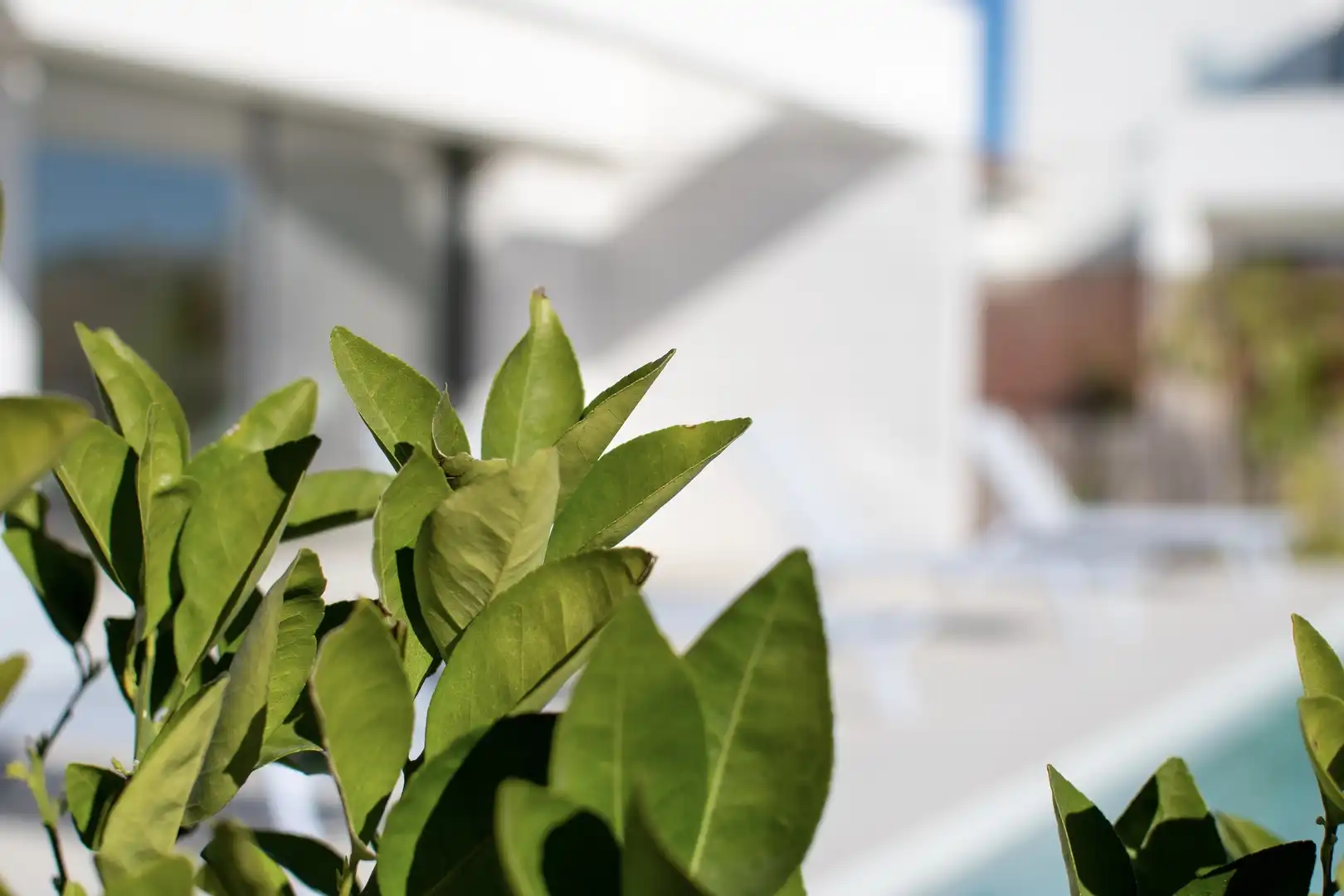 Mooie villa's in Los Montesinos foto 18