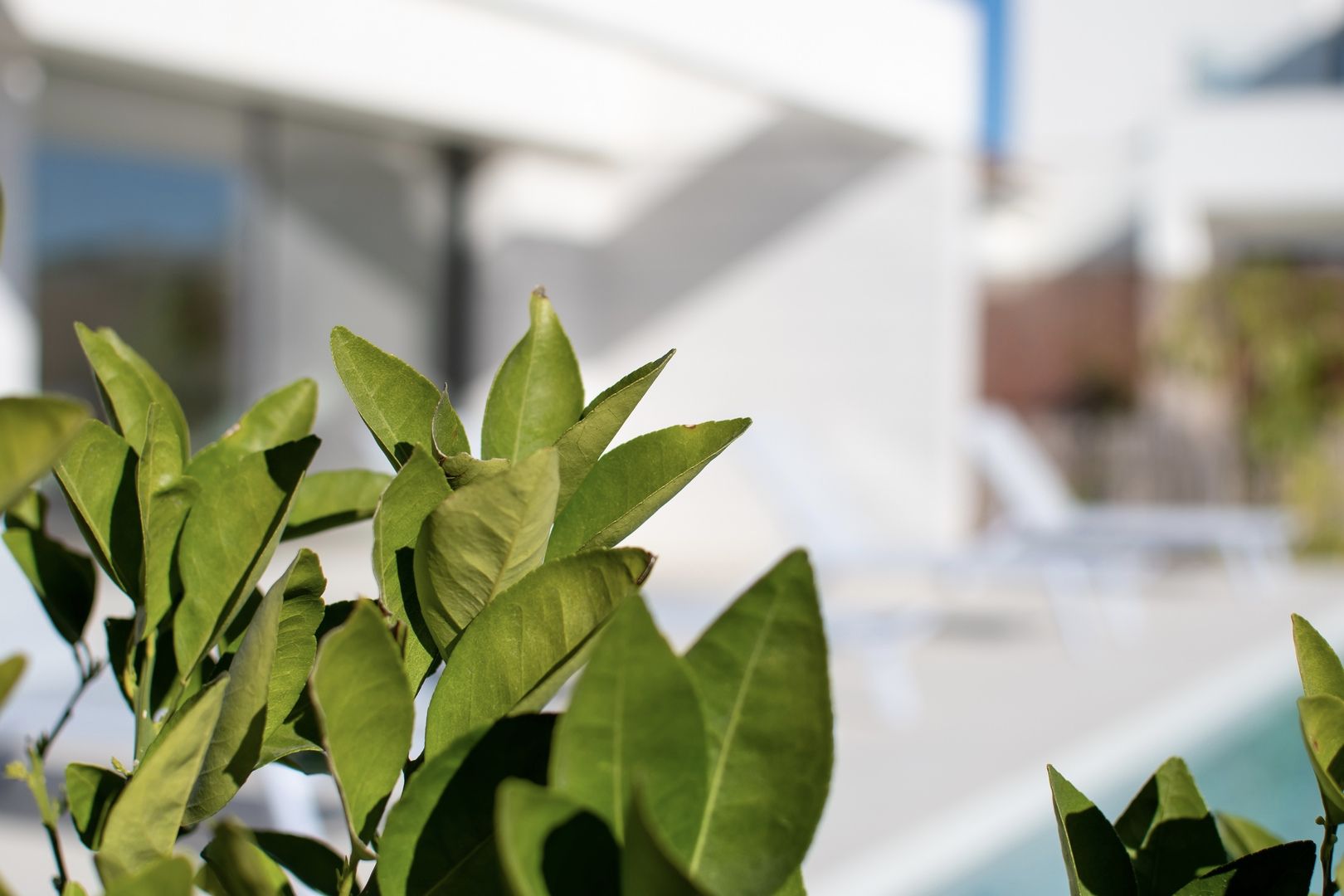 Mooie villa's in Los Montesinos foto 18