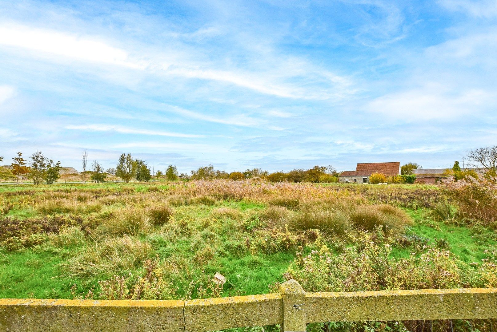 KIJKDAG ZATERDAG 06/12 VAN 14U TOT 16U! foto 3
