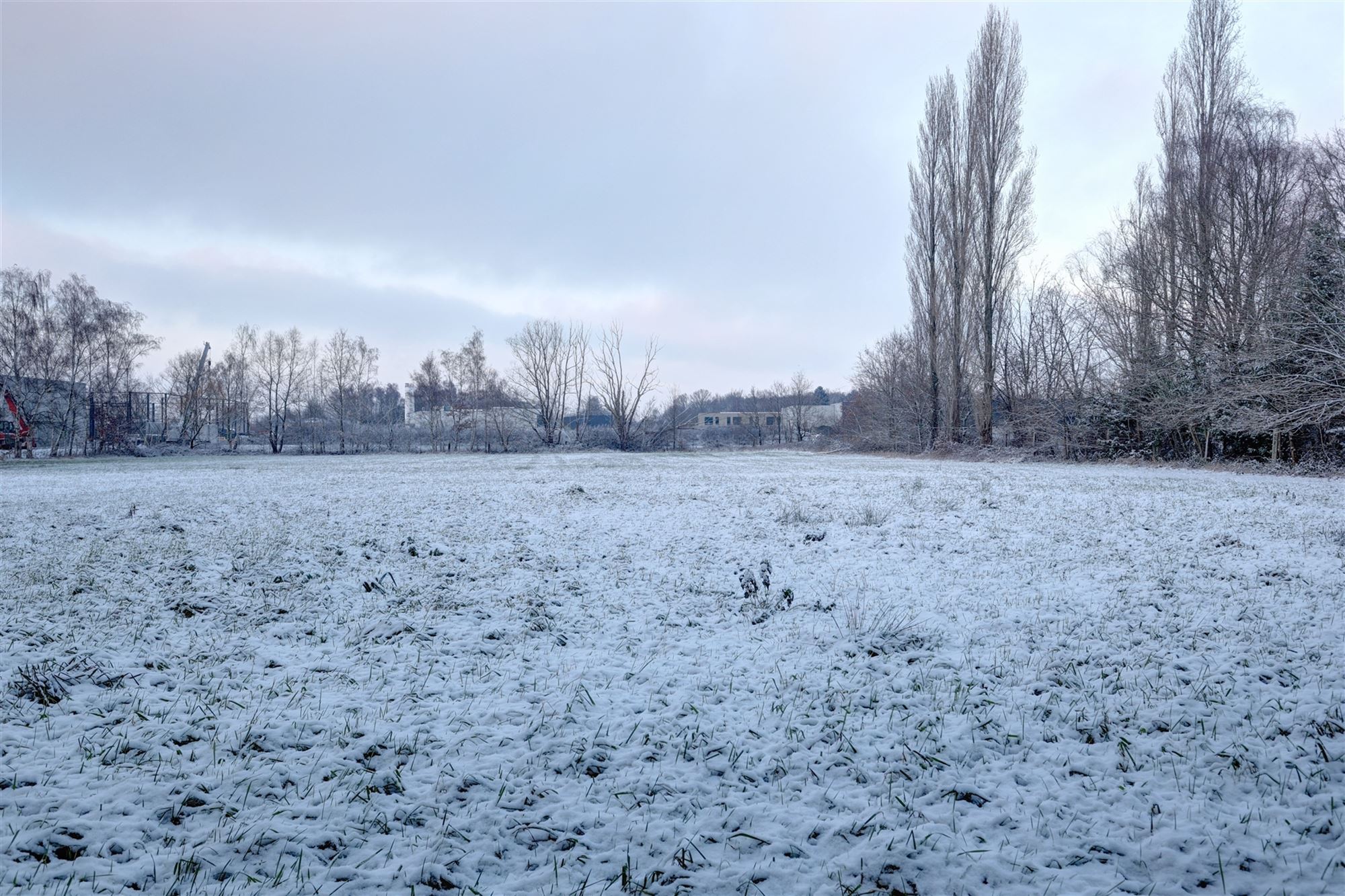 Idyllische paardenweide / bosgrond in Bonheiden foto 8
