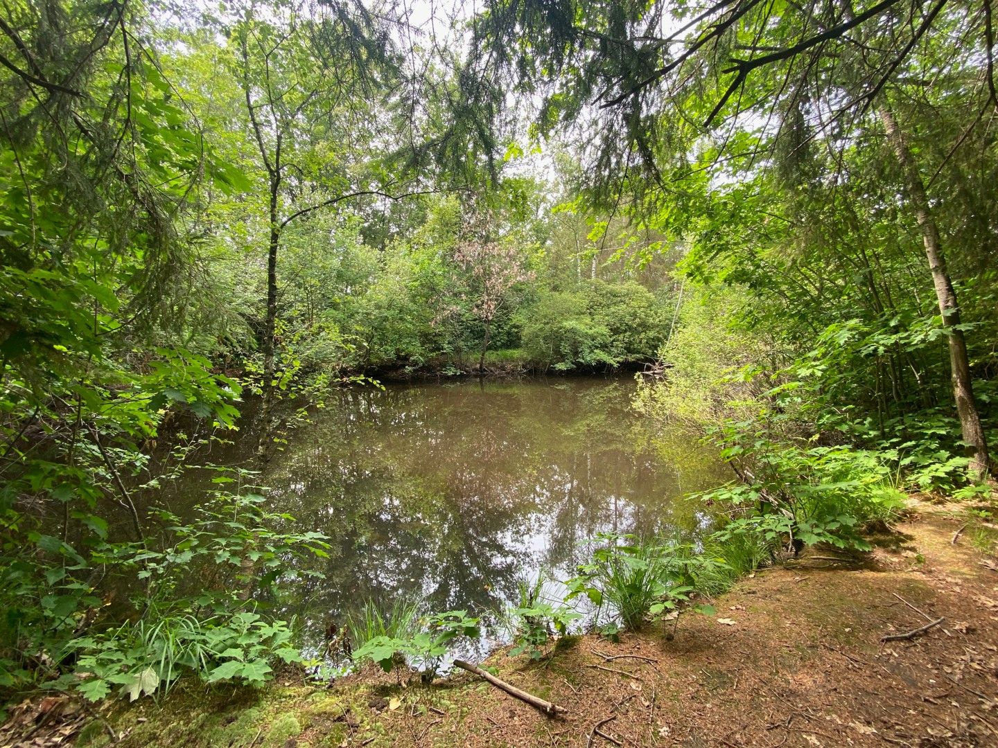 ()=>{if(producerUpdateValueVersion(node),producerAccessed(node),node.value===ERRORED)throw node.error;return node.value} Dennendijk 4 - 2235 Westmeerbeek