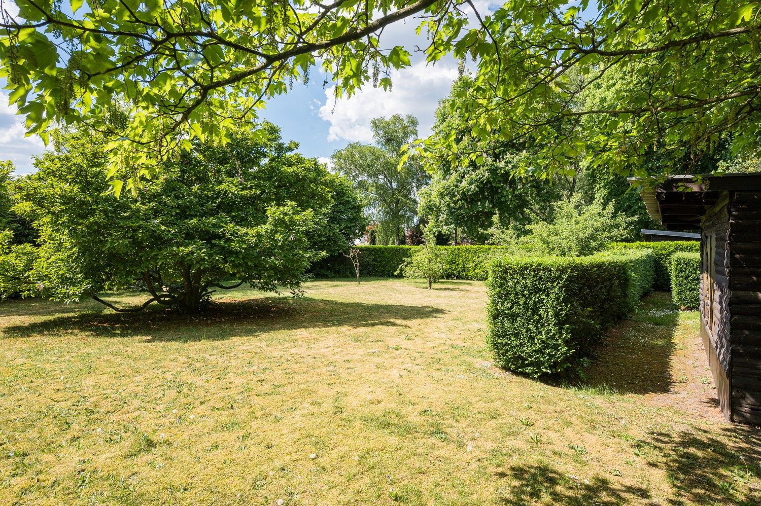 Karaktervolle woning met  riante tuin in Eeklo foto 7