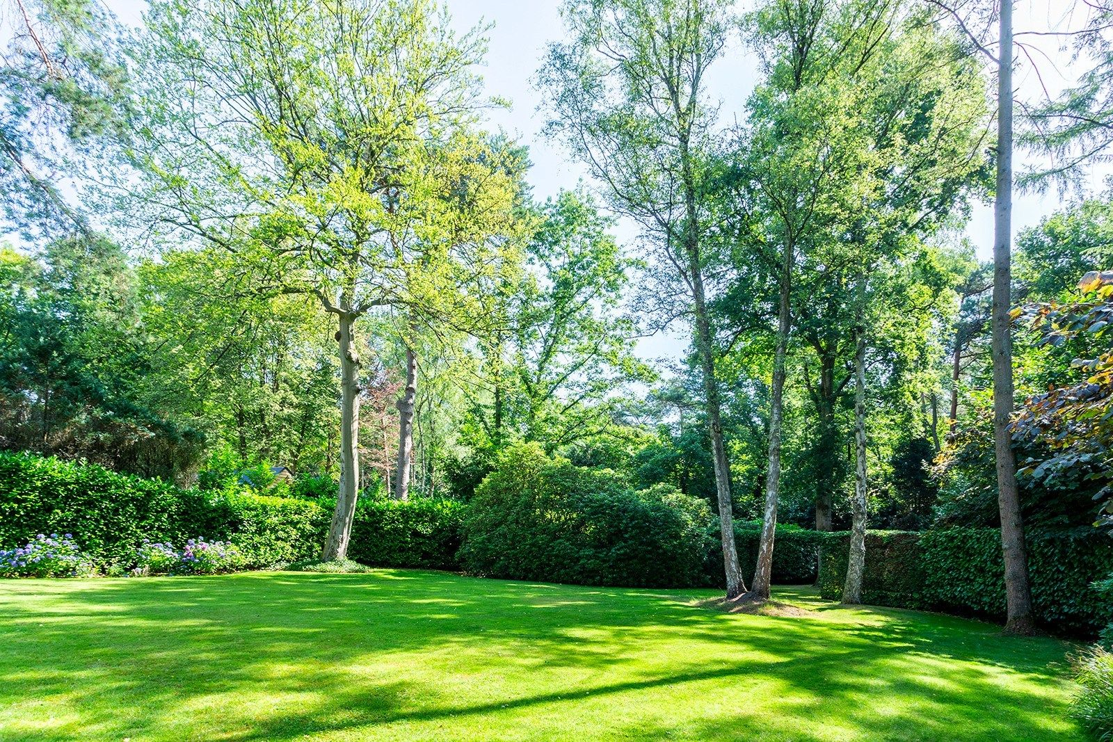 Charmante rietgedekte villa in bosrijke omgeving foto 24