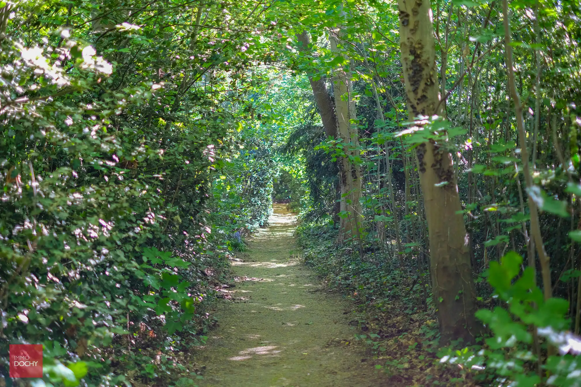 Uniek domein met ruime villa in prachtige parktuin op 2,7ha foto 11