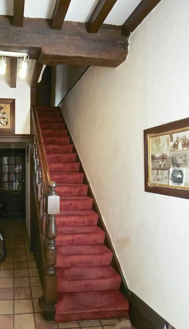 een verborgen Brugse parel tussen groen en rei foto 15