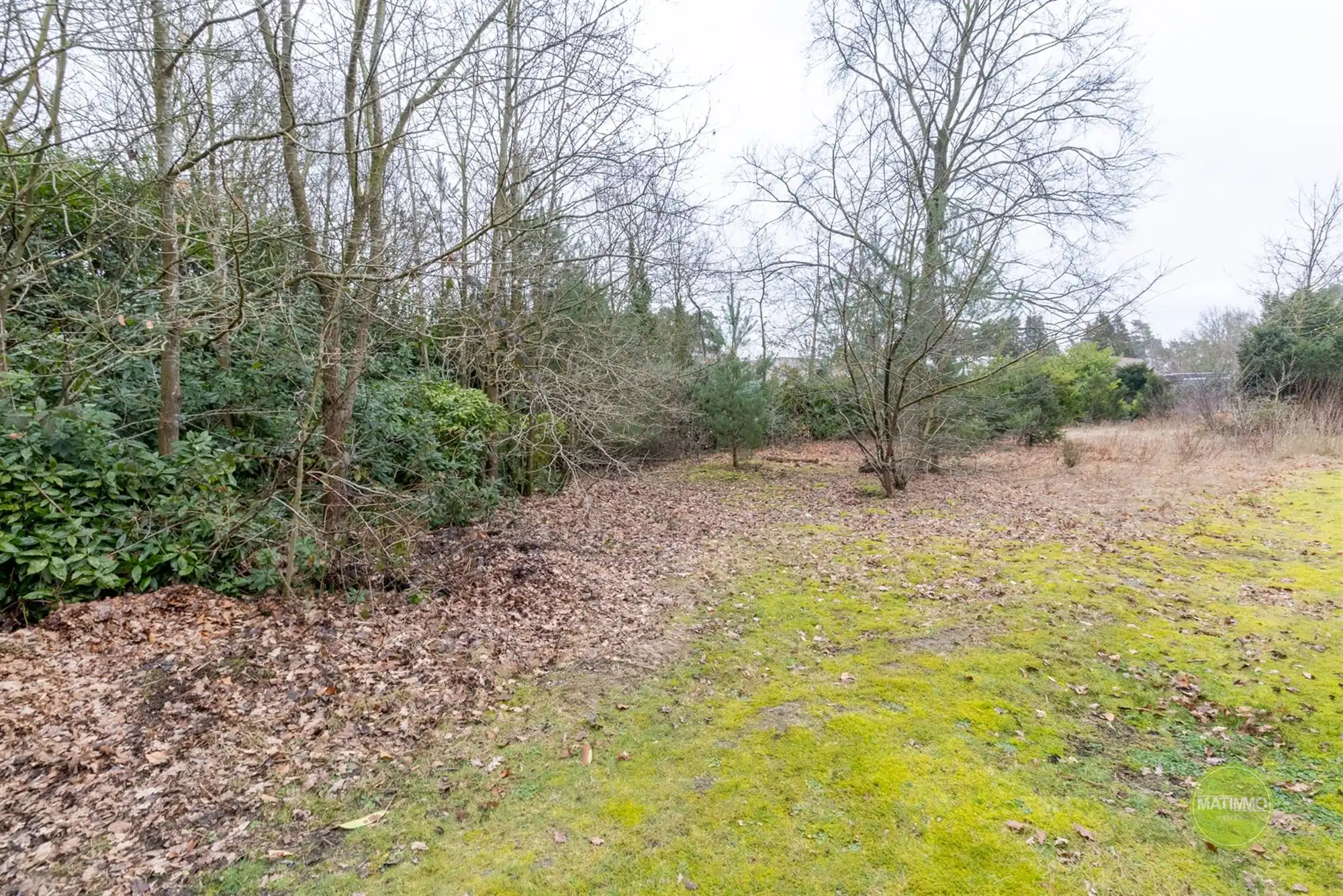 Ruime bouwgrond voor open bebouwing in het groene Mol-Rauw  foto 8