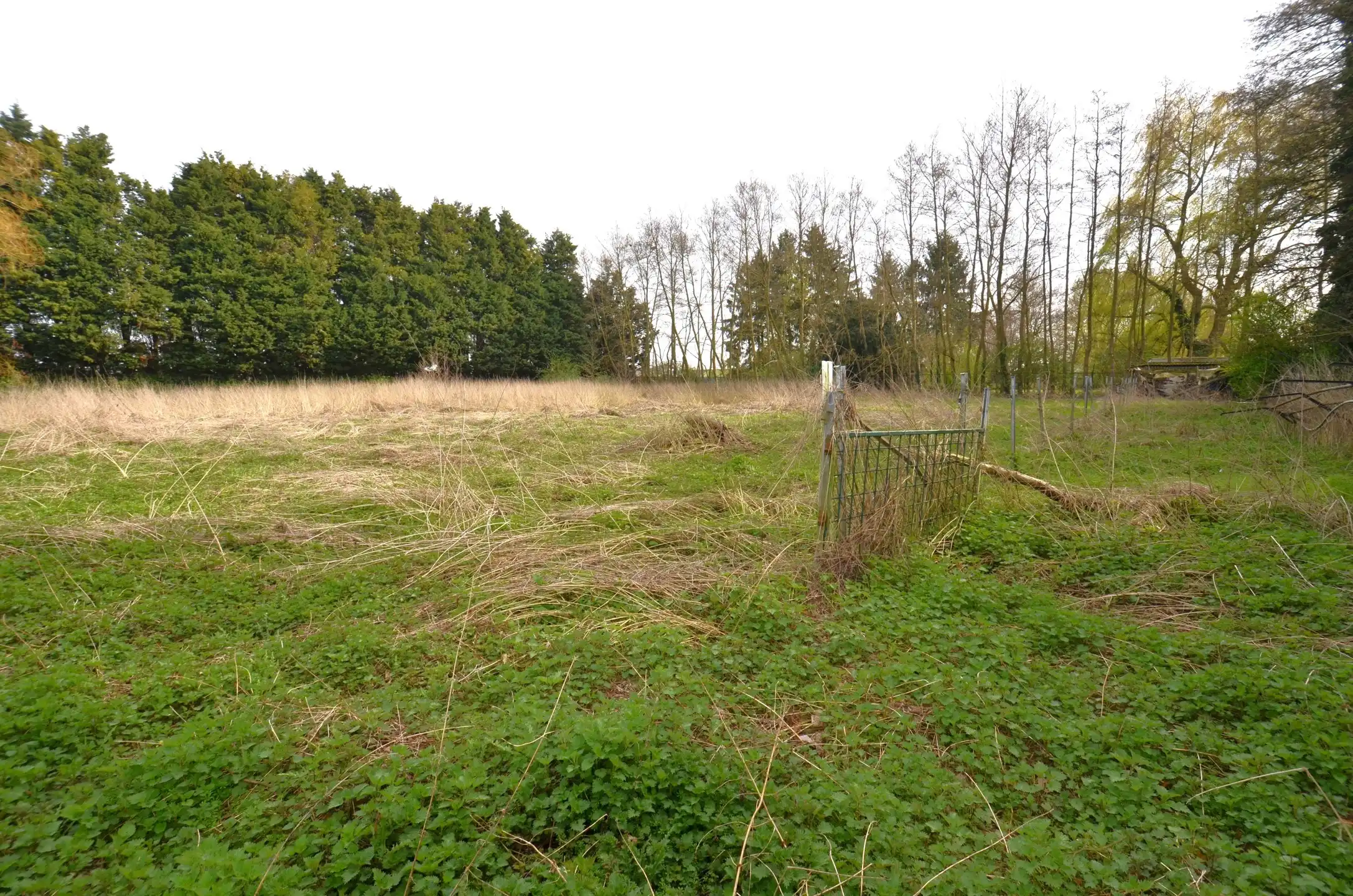 Magazijn met bijhorende weiland foto 5